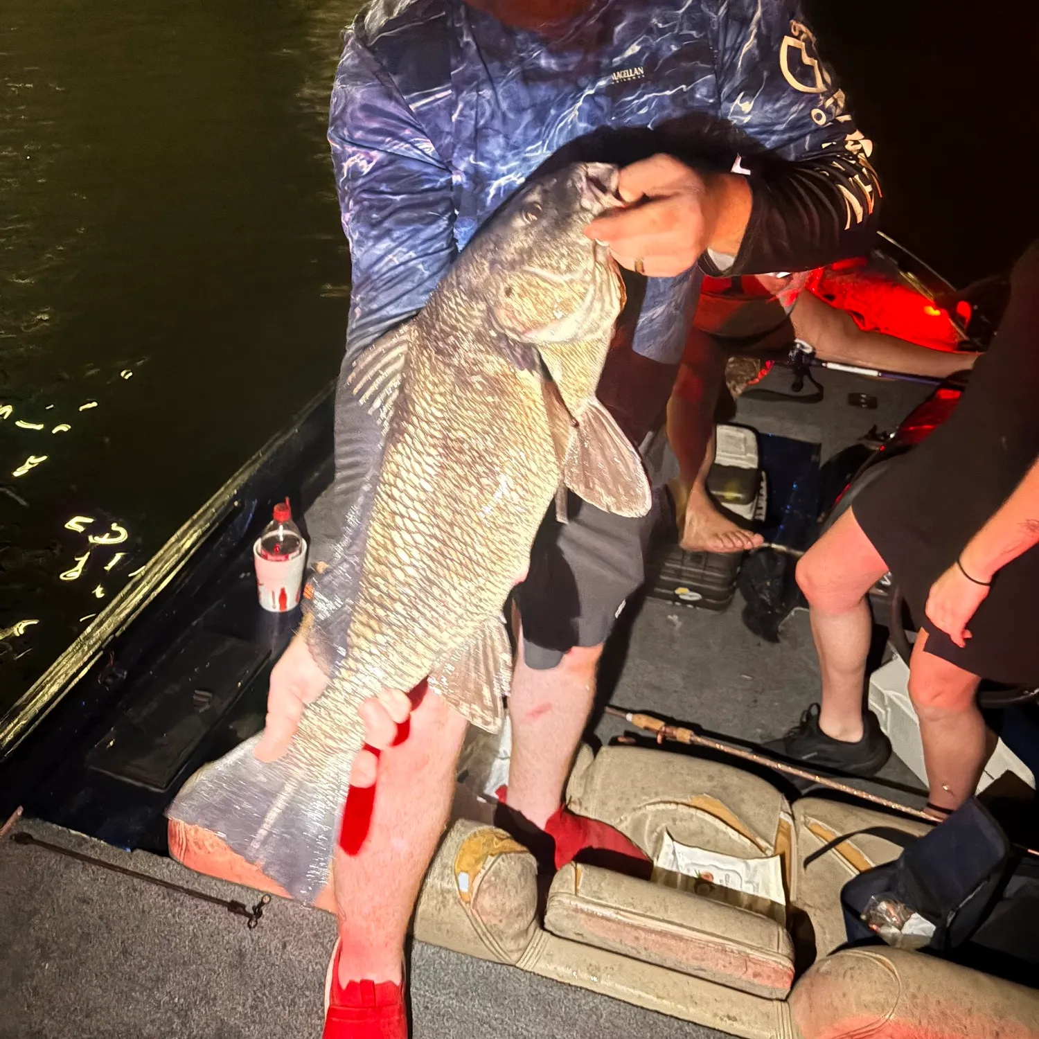 Black drum caught on Fishbrain