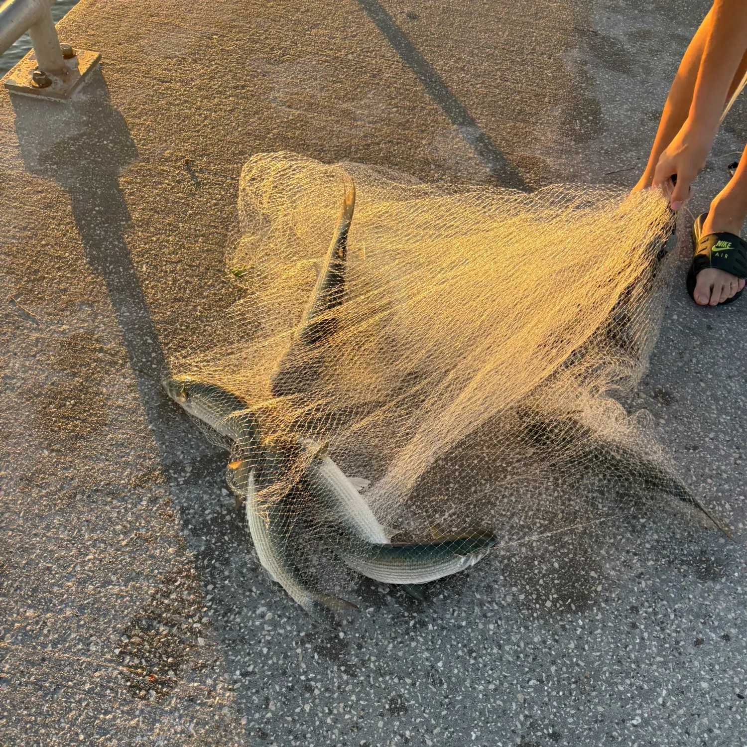 catch