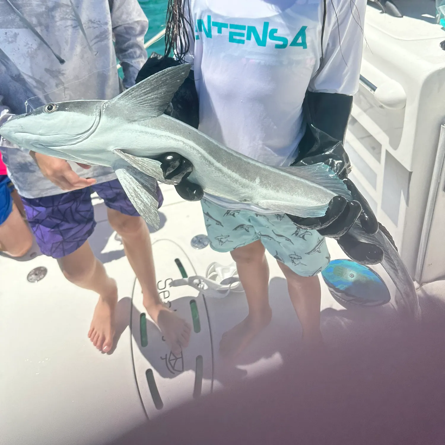 Fish caught on Fishbrain