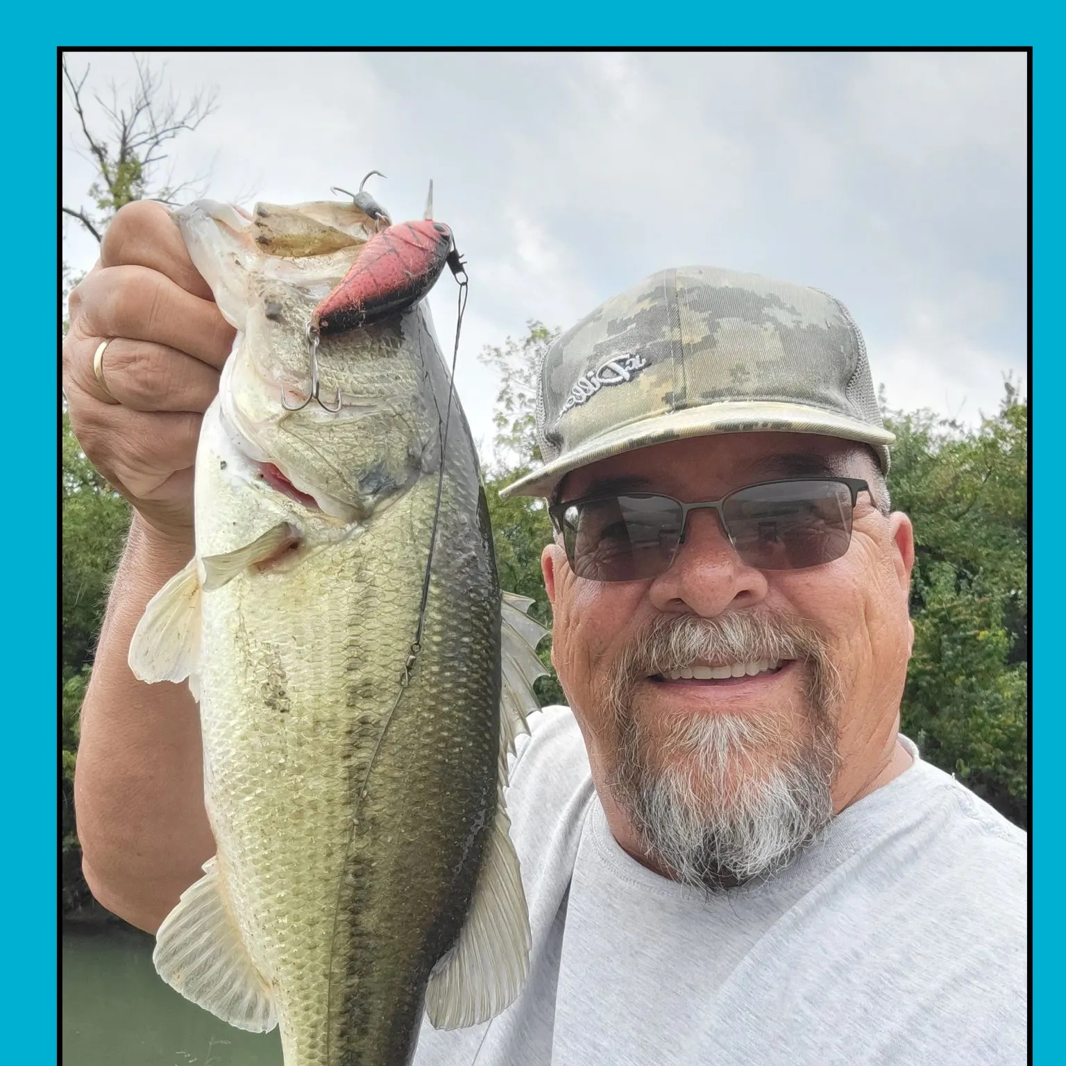 Largemouth bass caught on Fishbrain