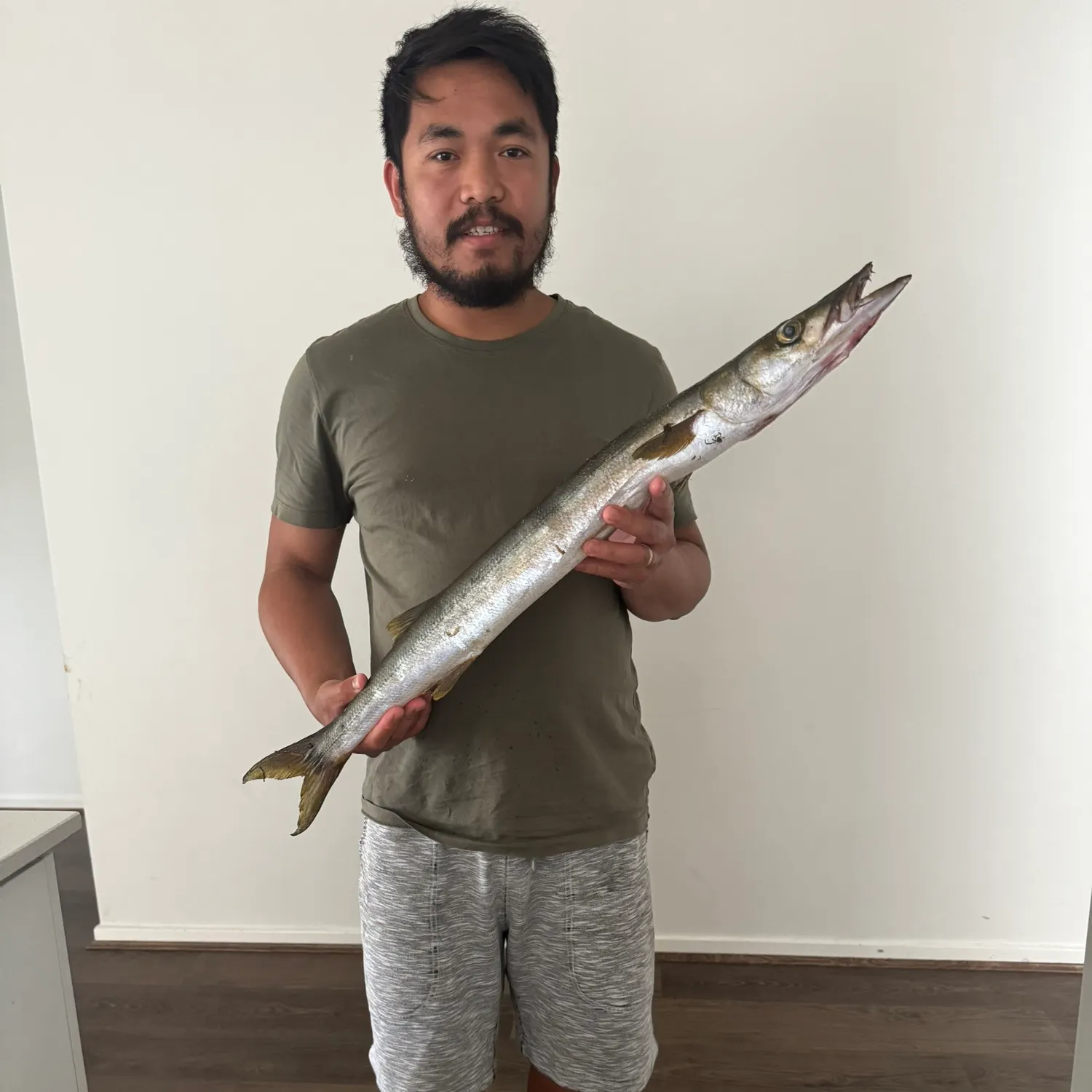 The most recent Australian barracuda catches on Fishbrain