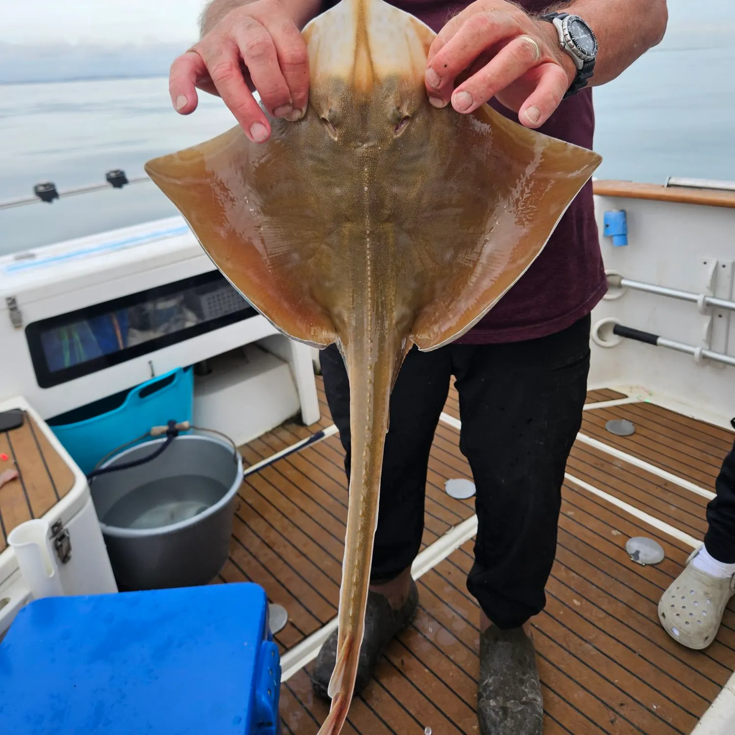 The most recent Blonde ray catches on Fishbrain