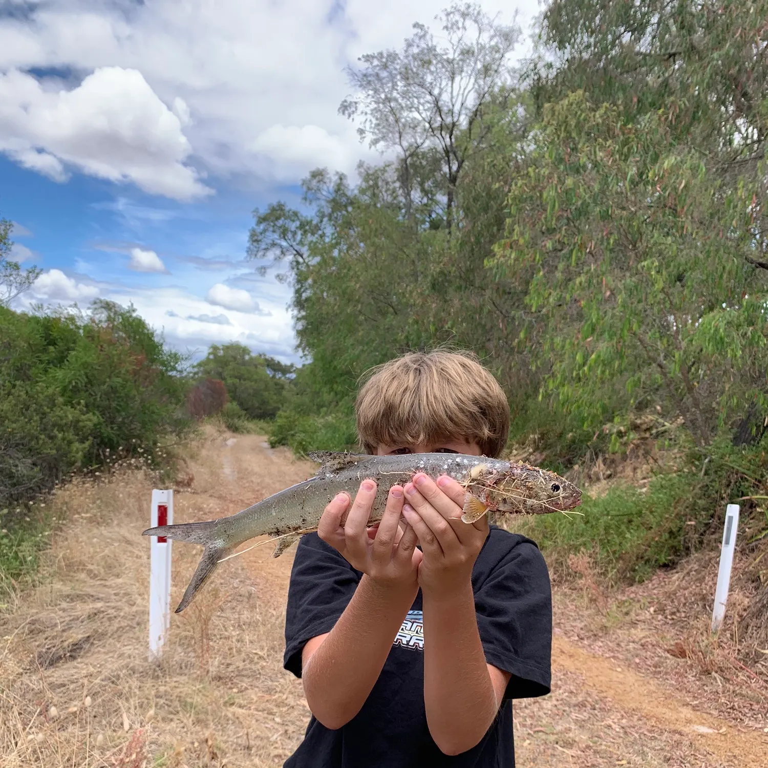 The most recent Hawaiian ladyfish catches on Fishbrain