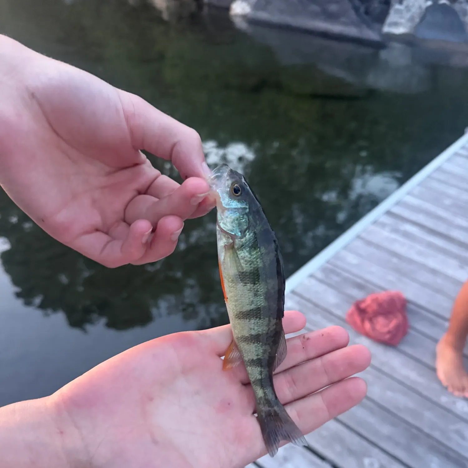 catch