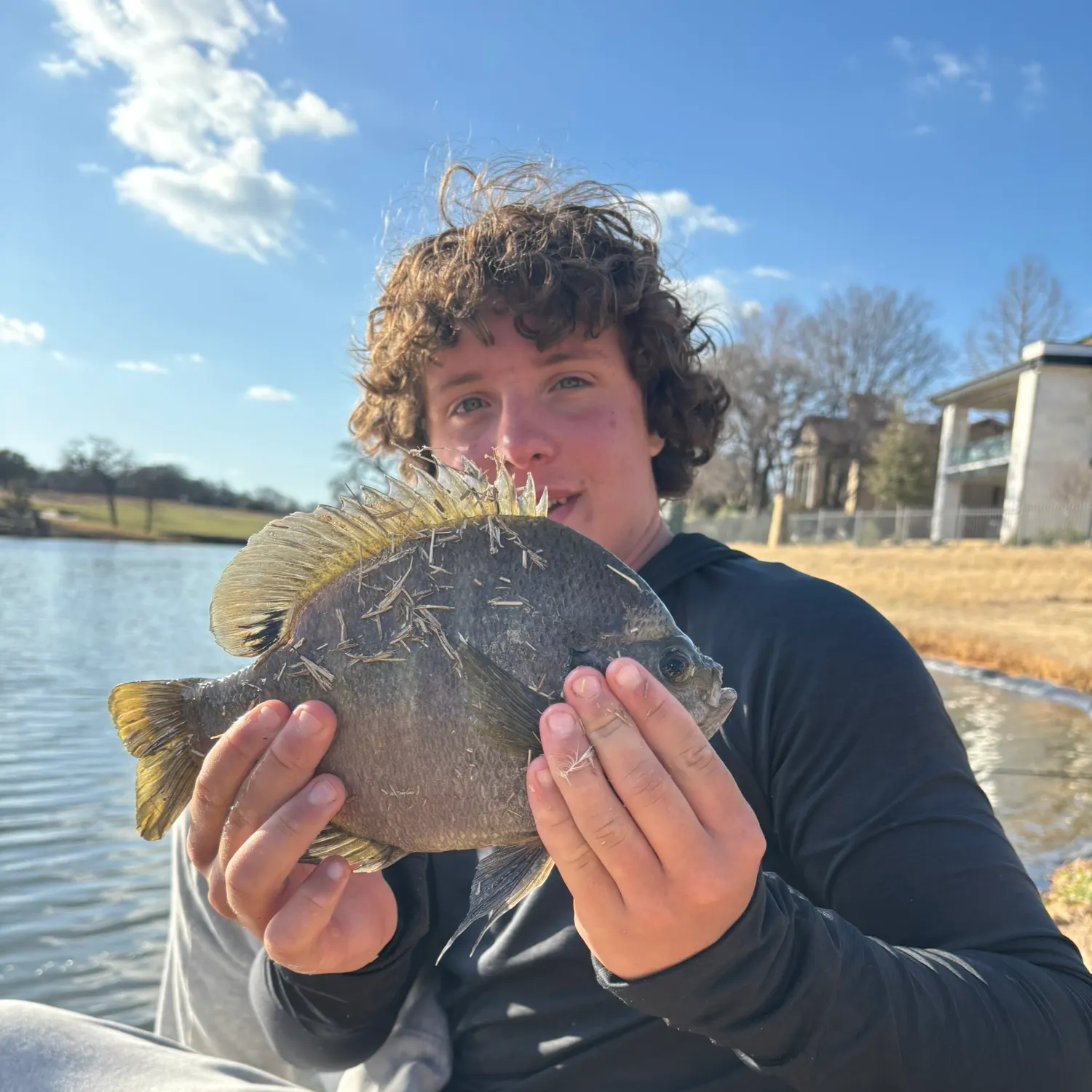 The most popular recent Coppernose bluegill catch on Fishbrain