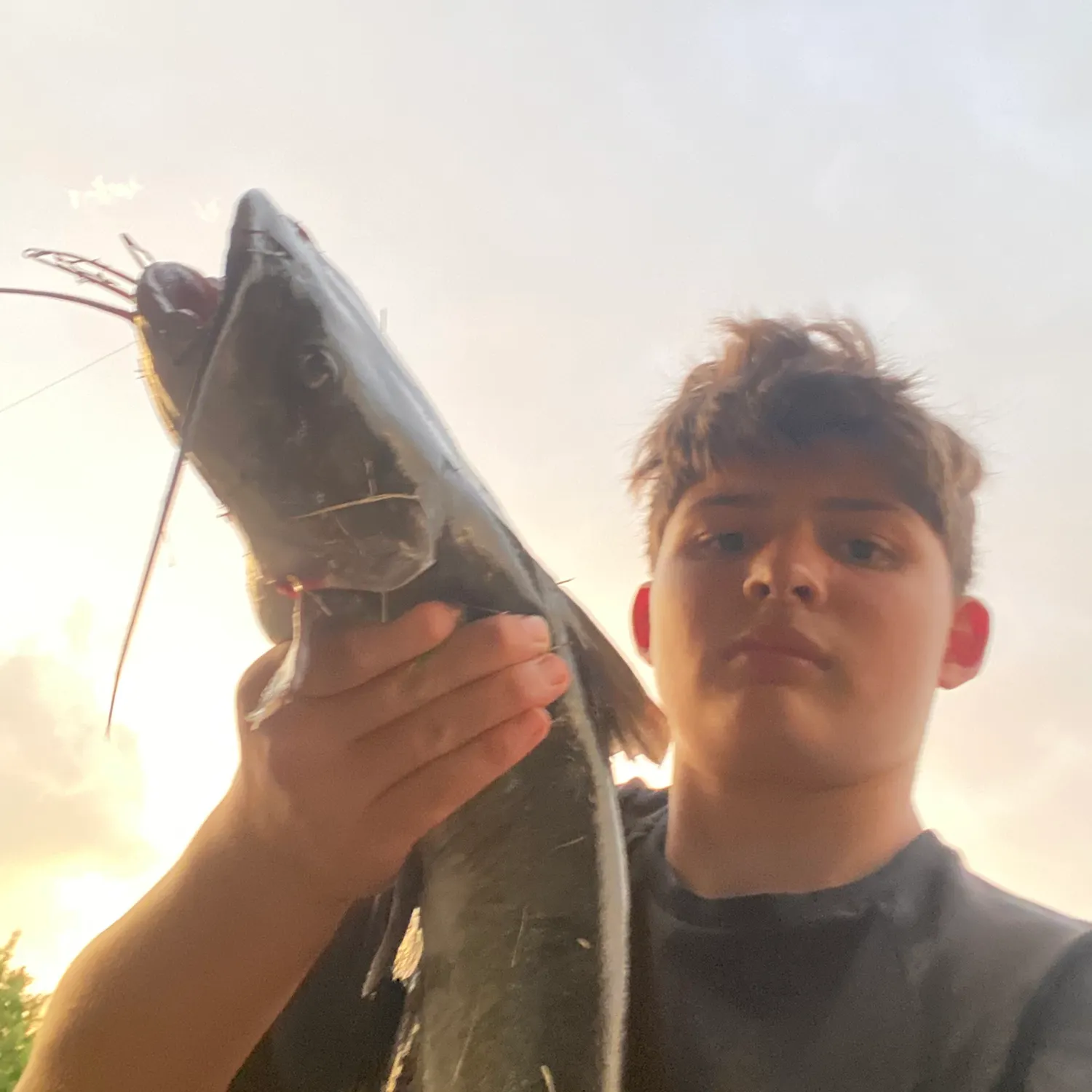 Channel catfish caught on Fishbrain