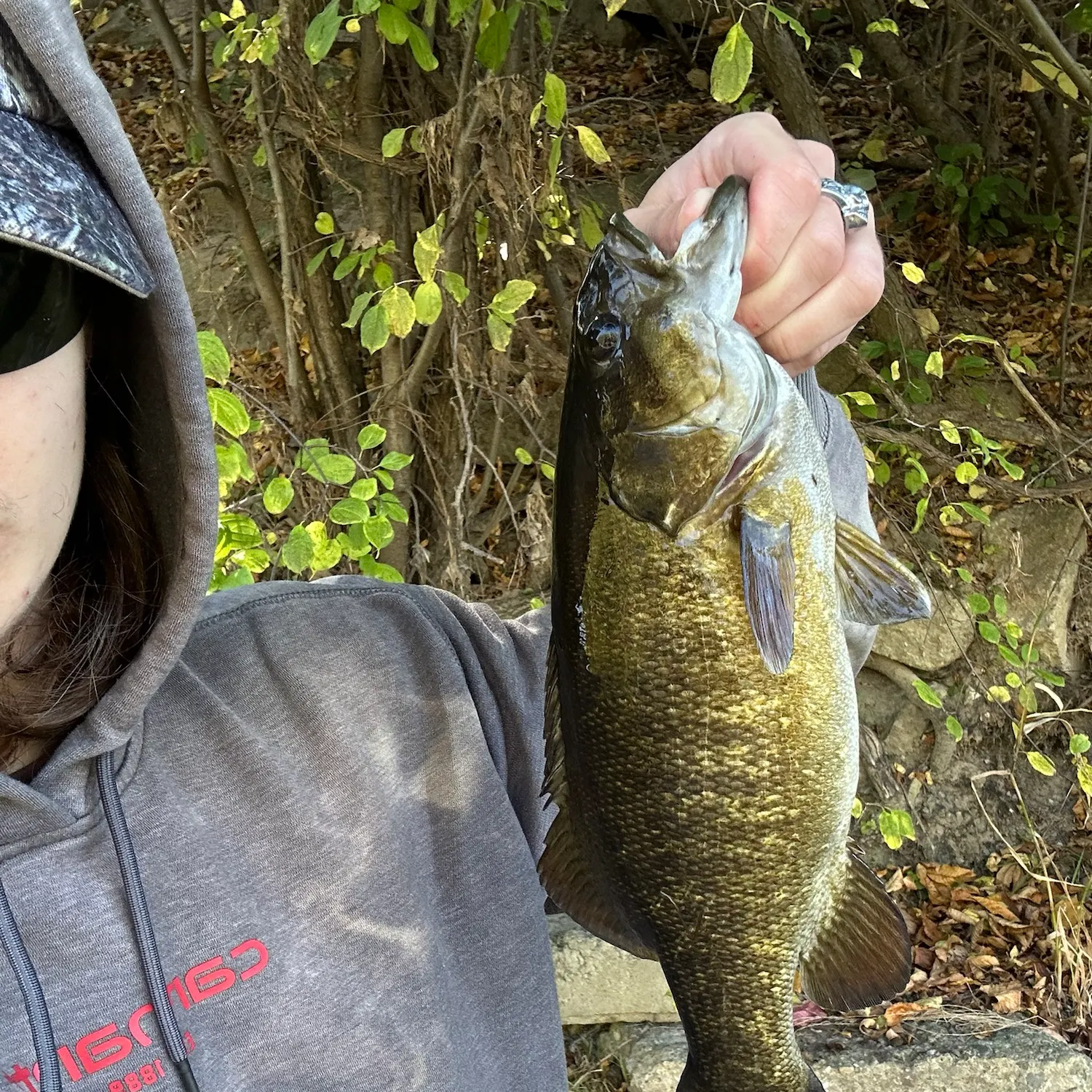 Smallmouth bass caught on Fishbrain