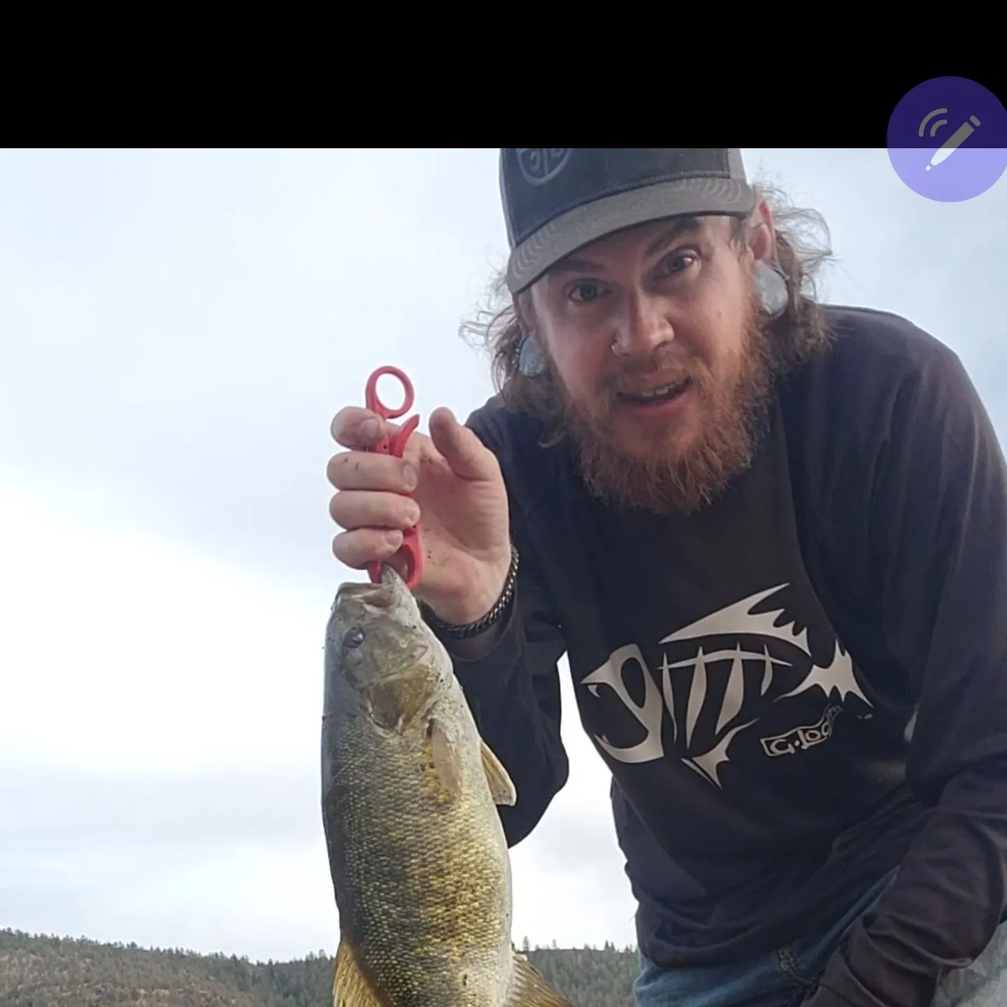 Smallmouth bass caught on Fishbrain