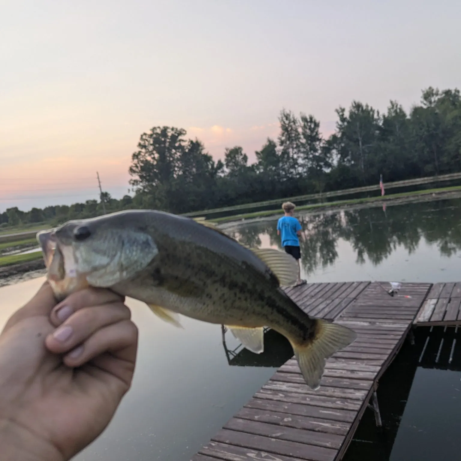 The most recent Largemouth bass catches on Fishbrain