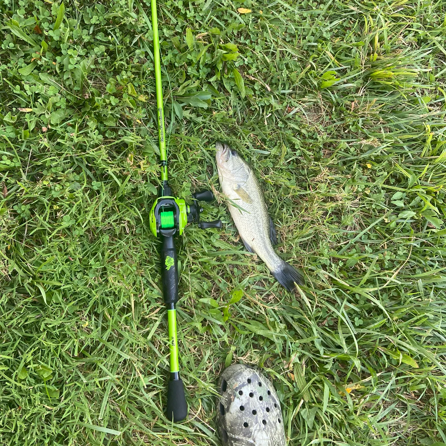 Fish caught on Fishbrain