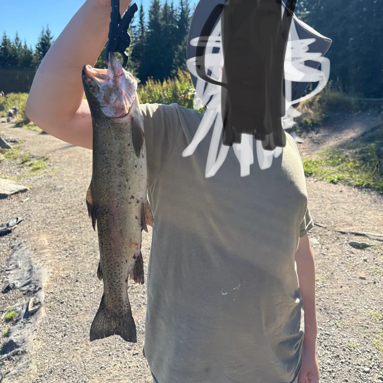 Rainbow trout caught on Fishbrain