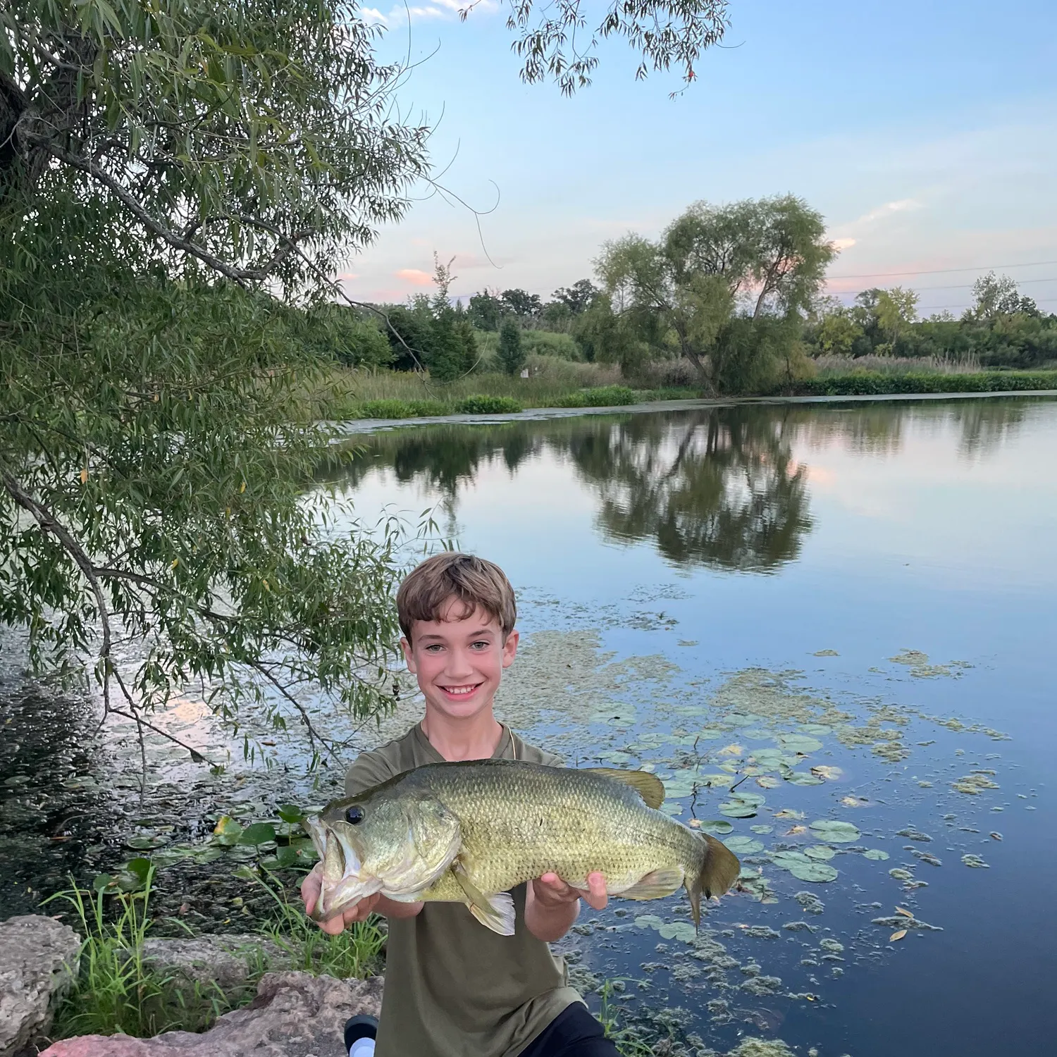 Largemouth bass caught on Fishbrain