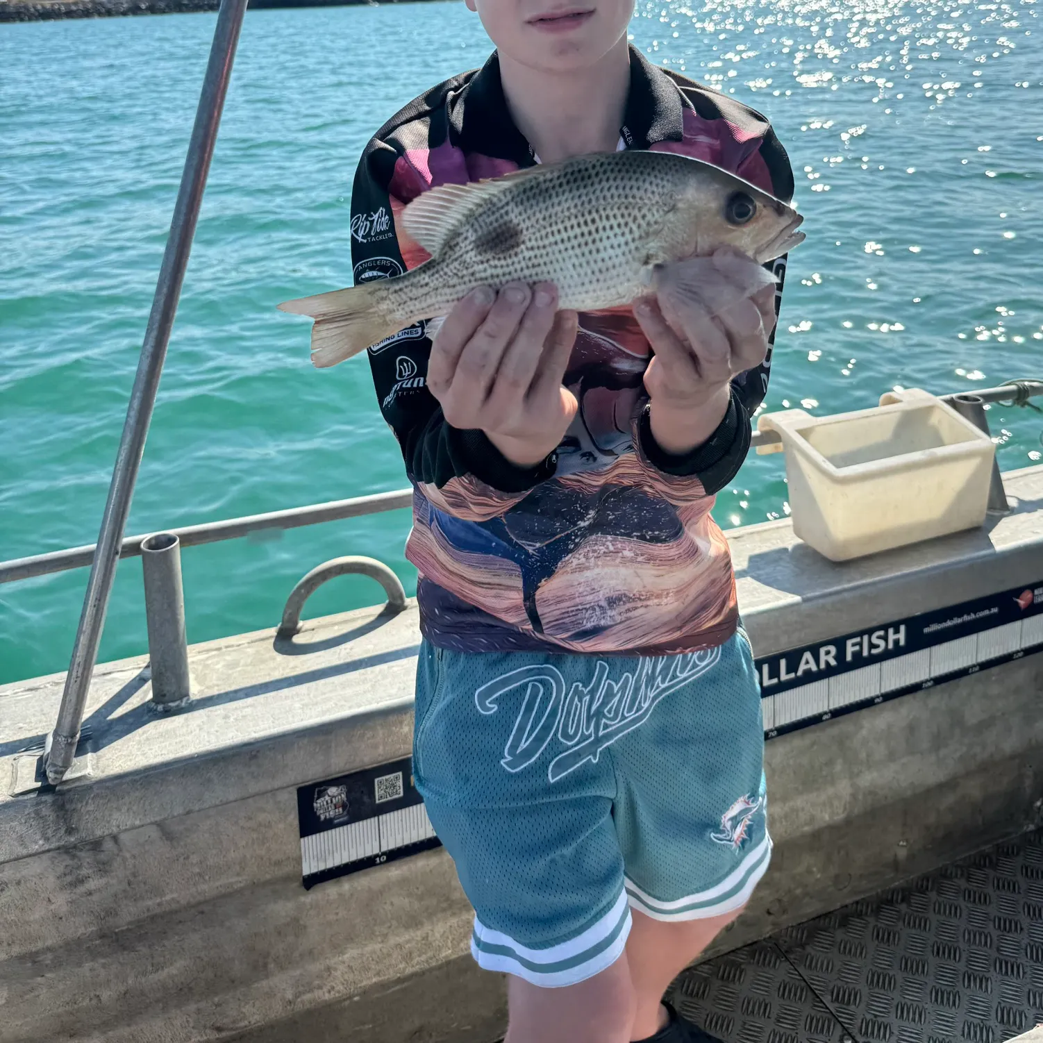 The most recent John's snapper catches on Fishbrain