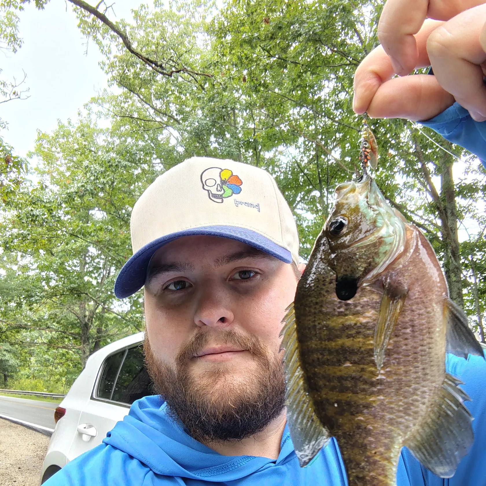 Bluegill caught on Fishbrain