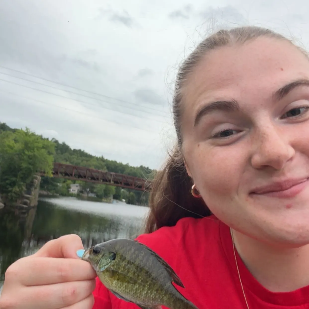 Bluegill caught on Fishbrain
