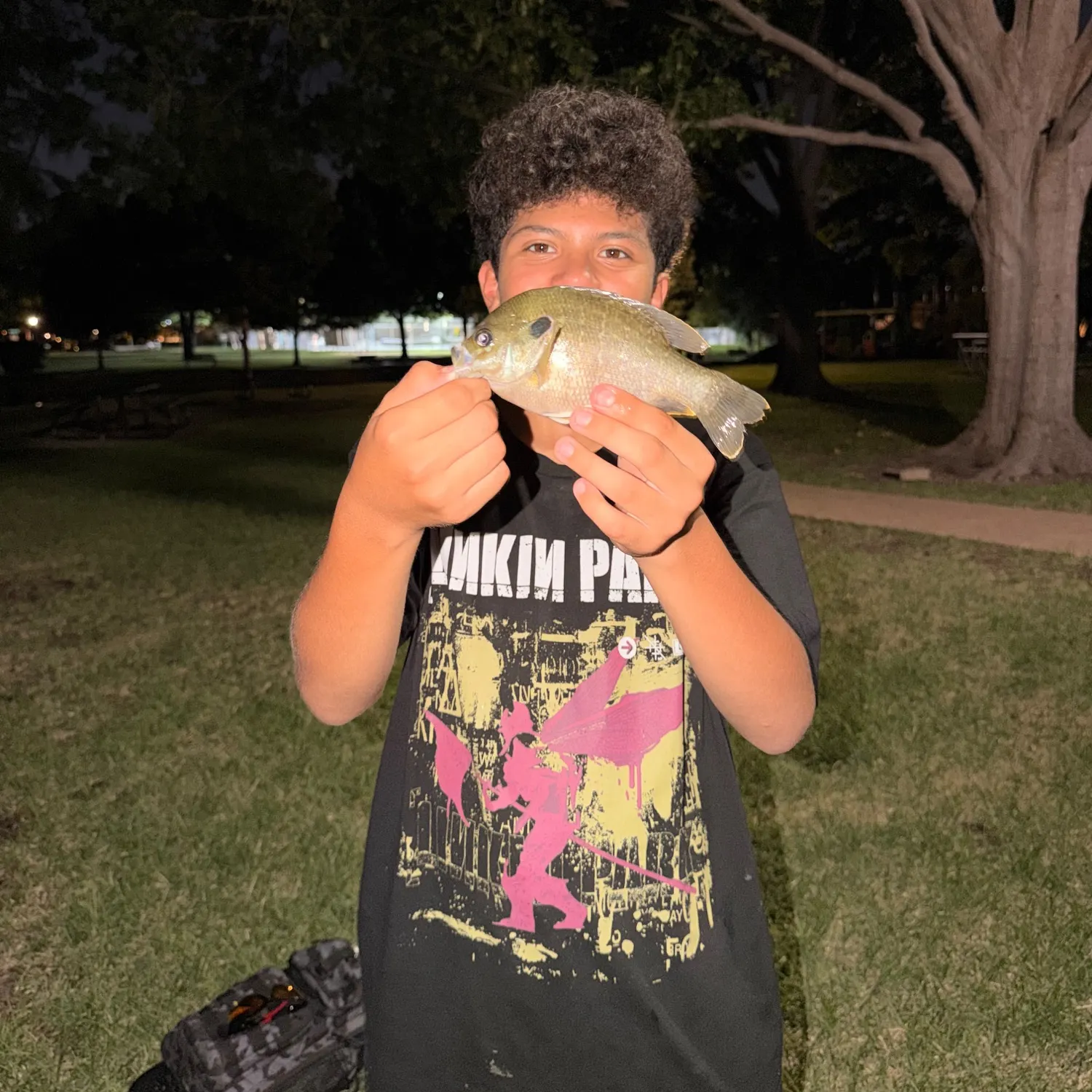 Green sunfish caught on Fishbrain