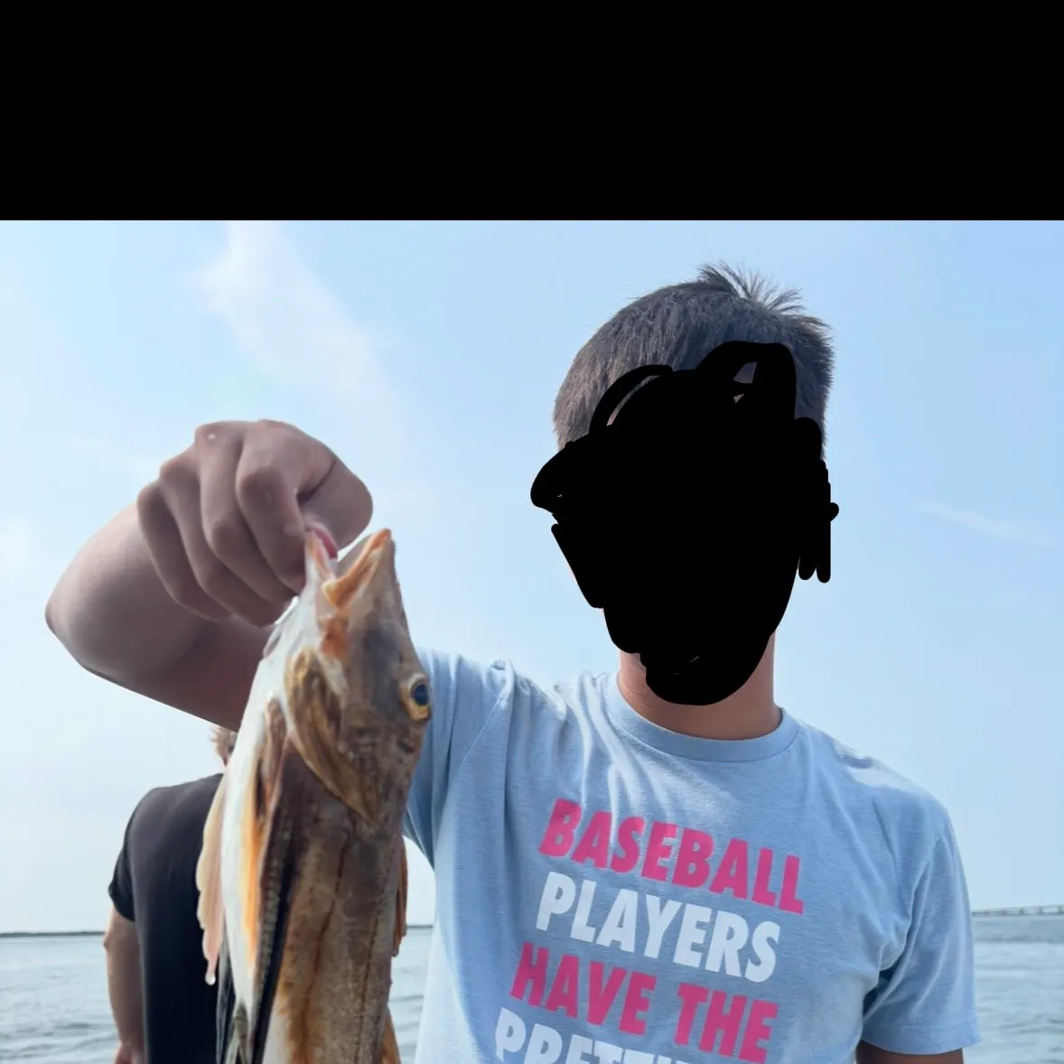 The most recent Striped searobin catches on Fishbrain