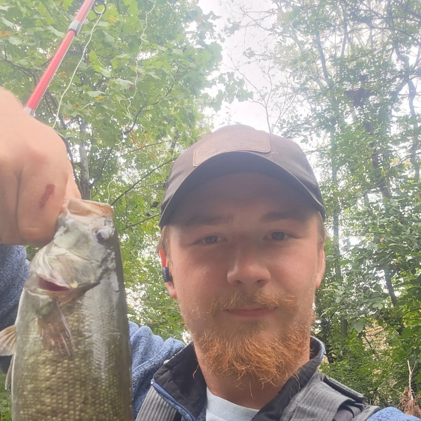 Smallmouth bass caught on Fishbrain