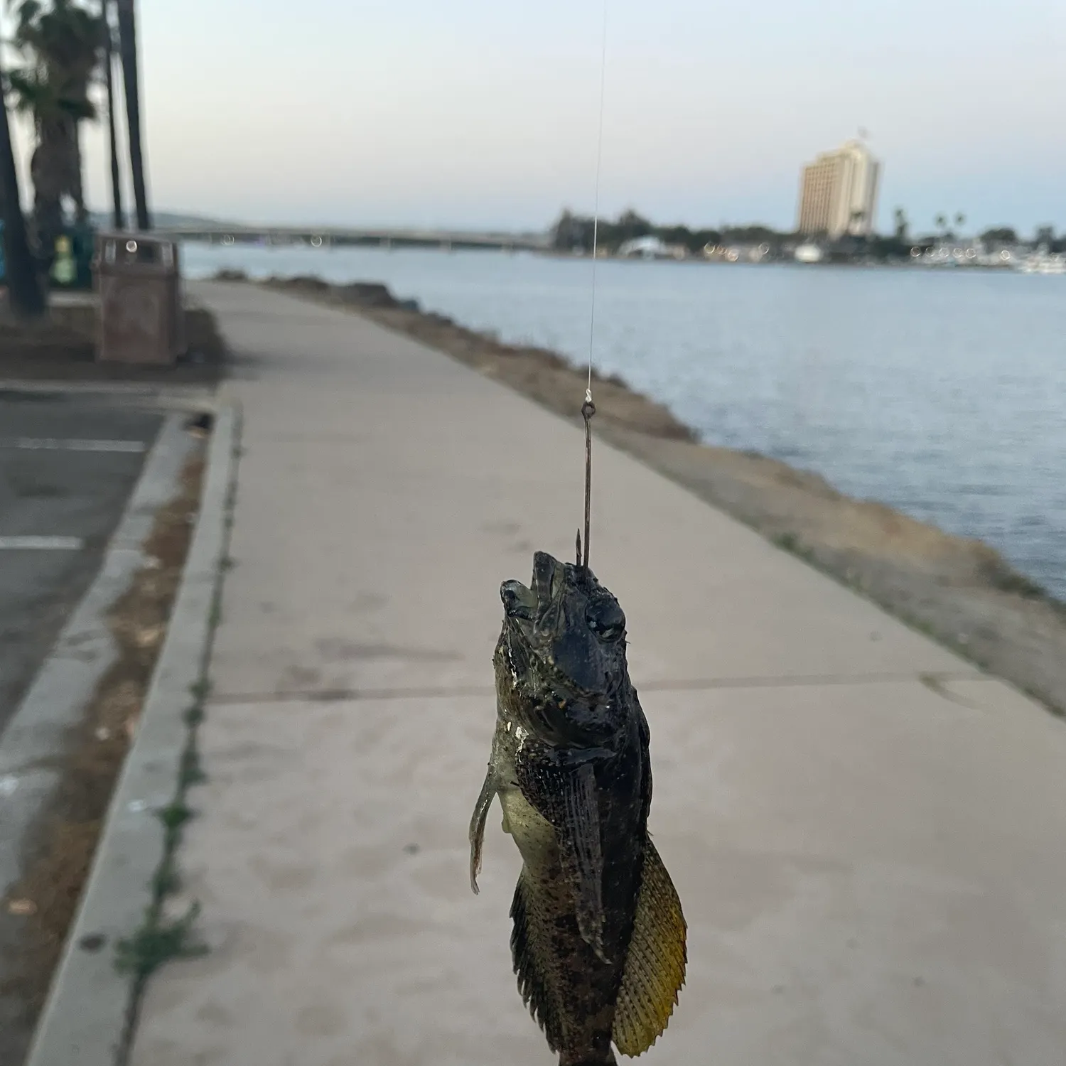 catch