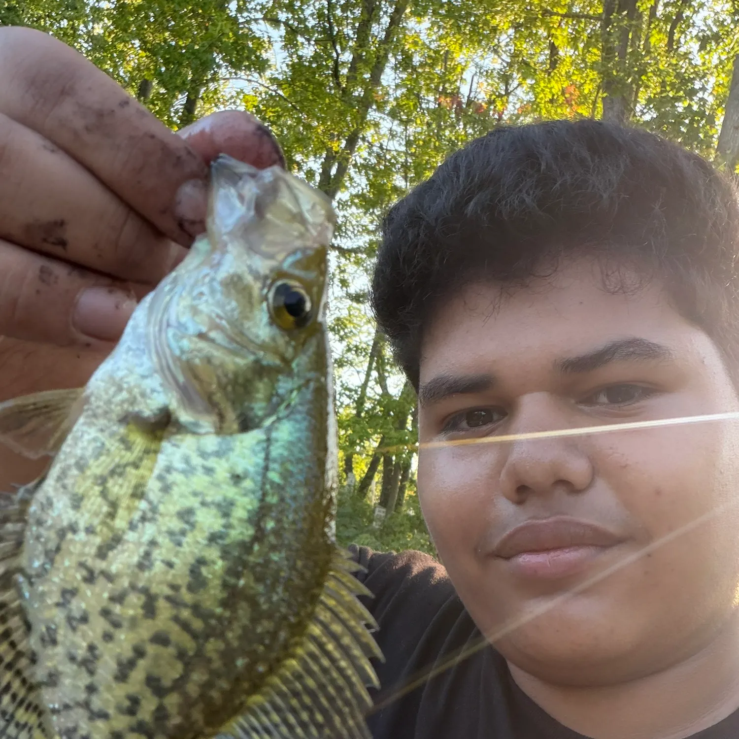 Black crappie caught on Fishbrain