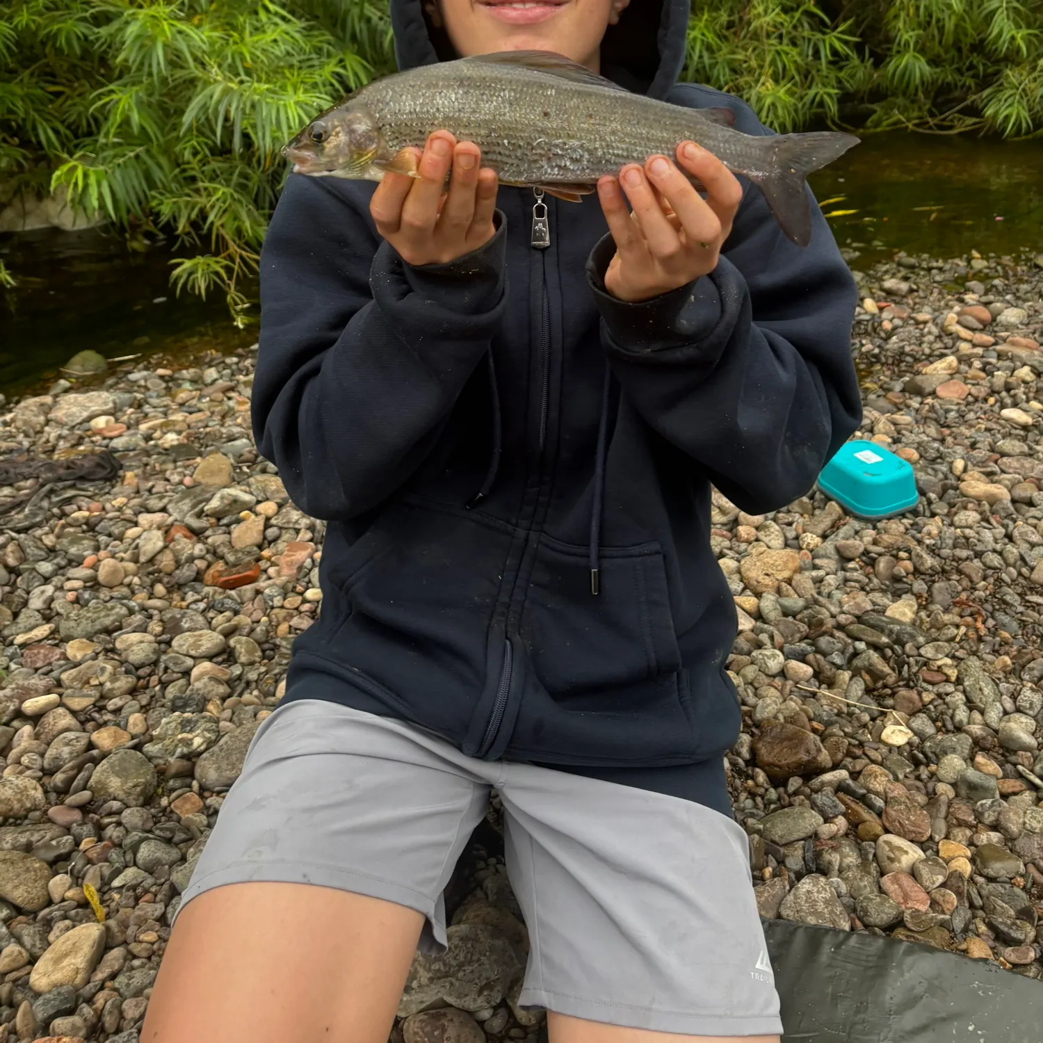 The most recent European grayling catches on Fishbrain