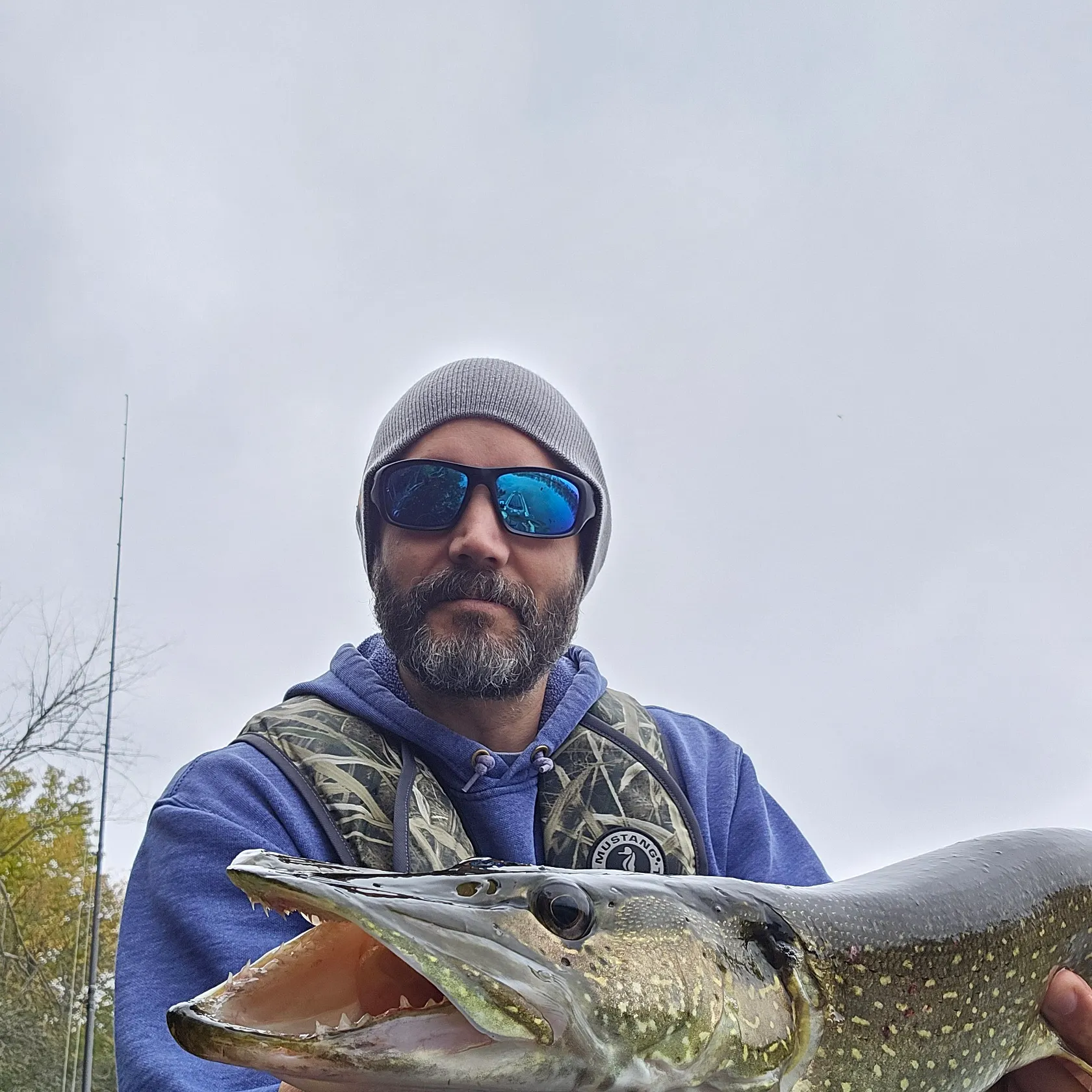 Northern pike caught on Fishbrain
