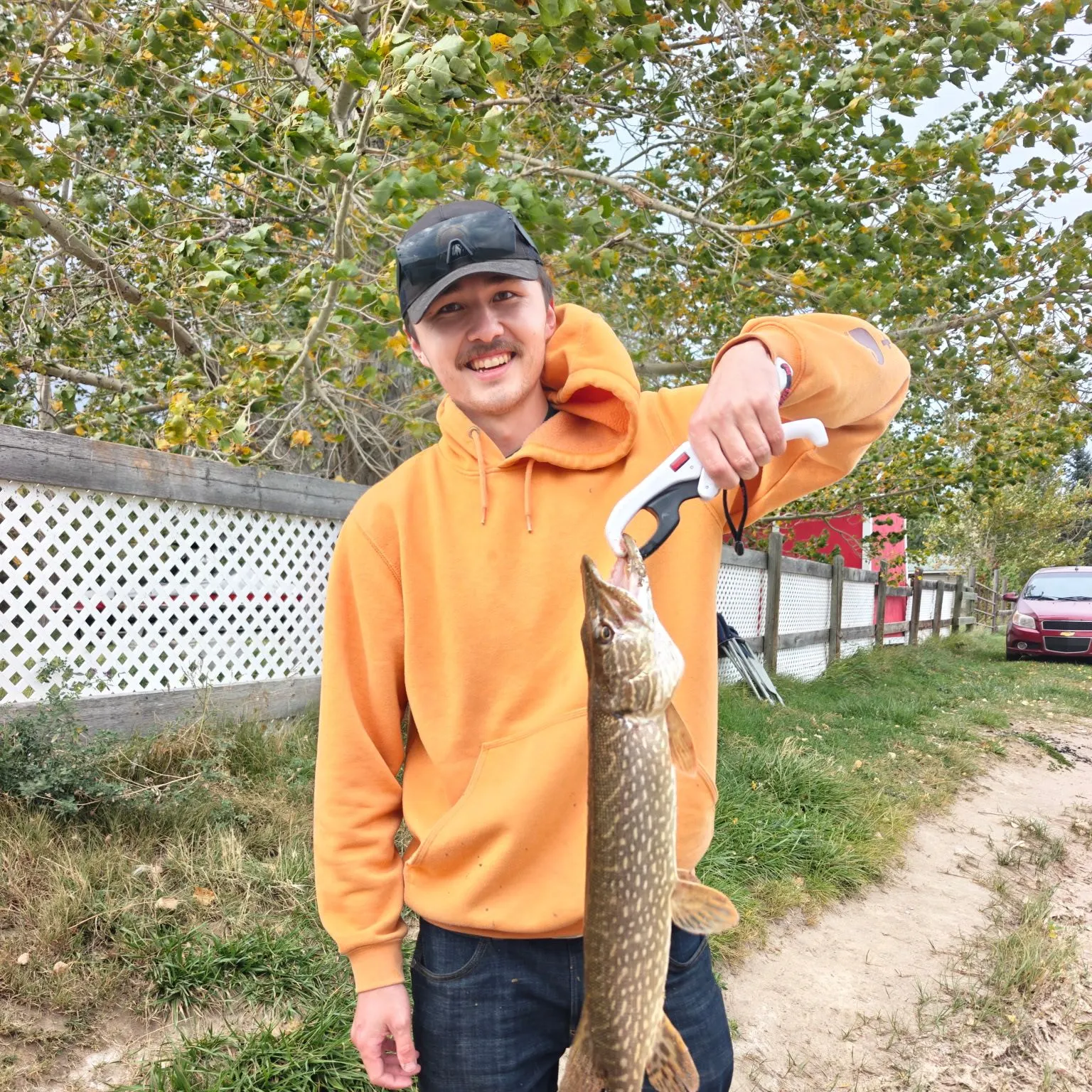 Northern pike caught on Fishbrain