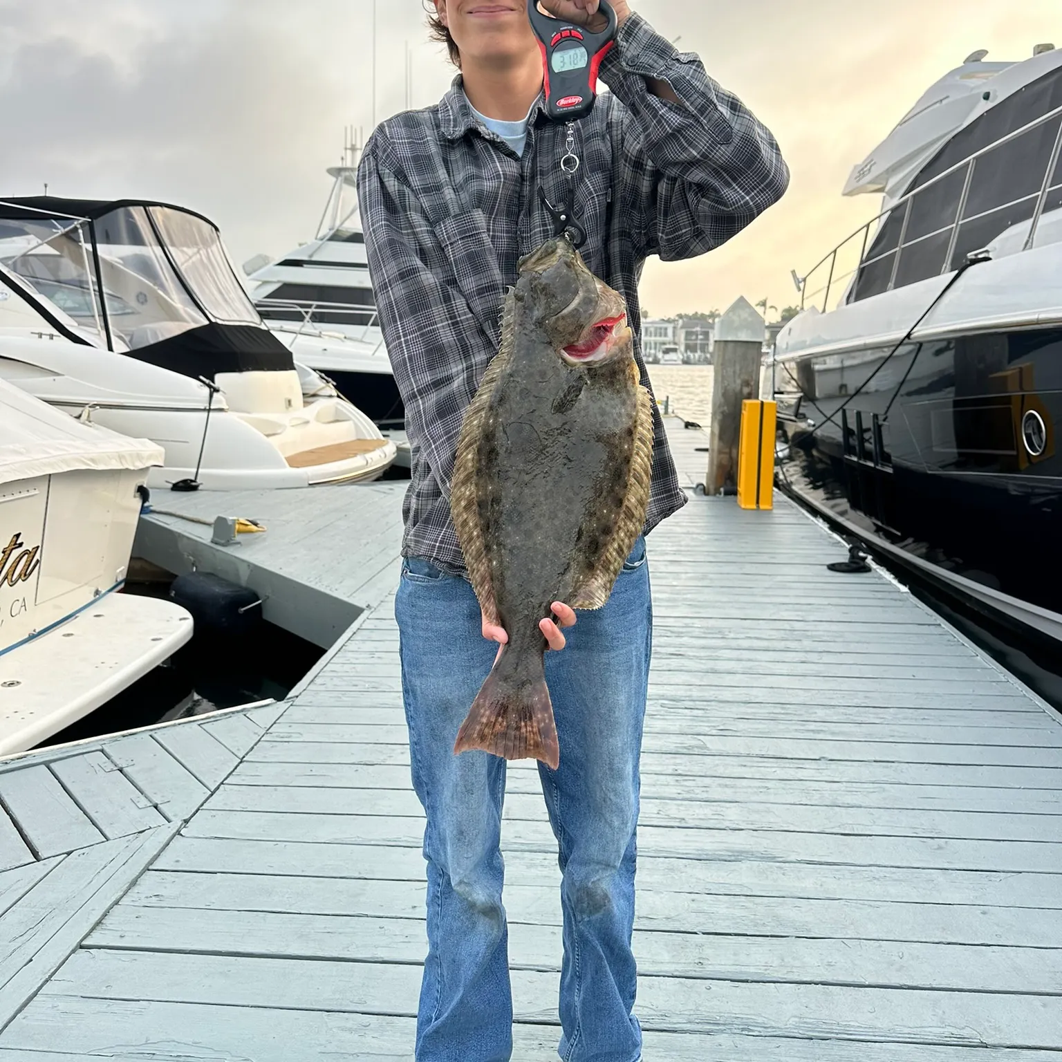 The most recent Pacific halibut catches on Fishbrain