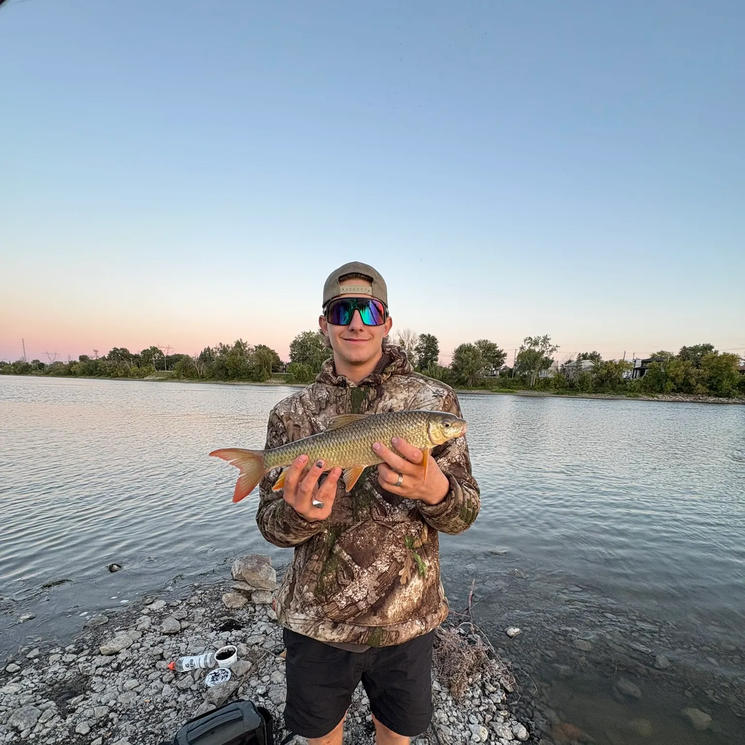 The most recent Shorthead redhorse catches on Fishbrain