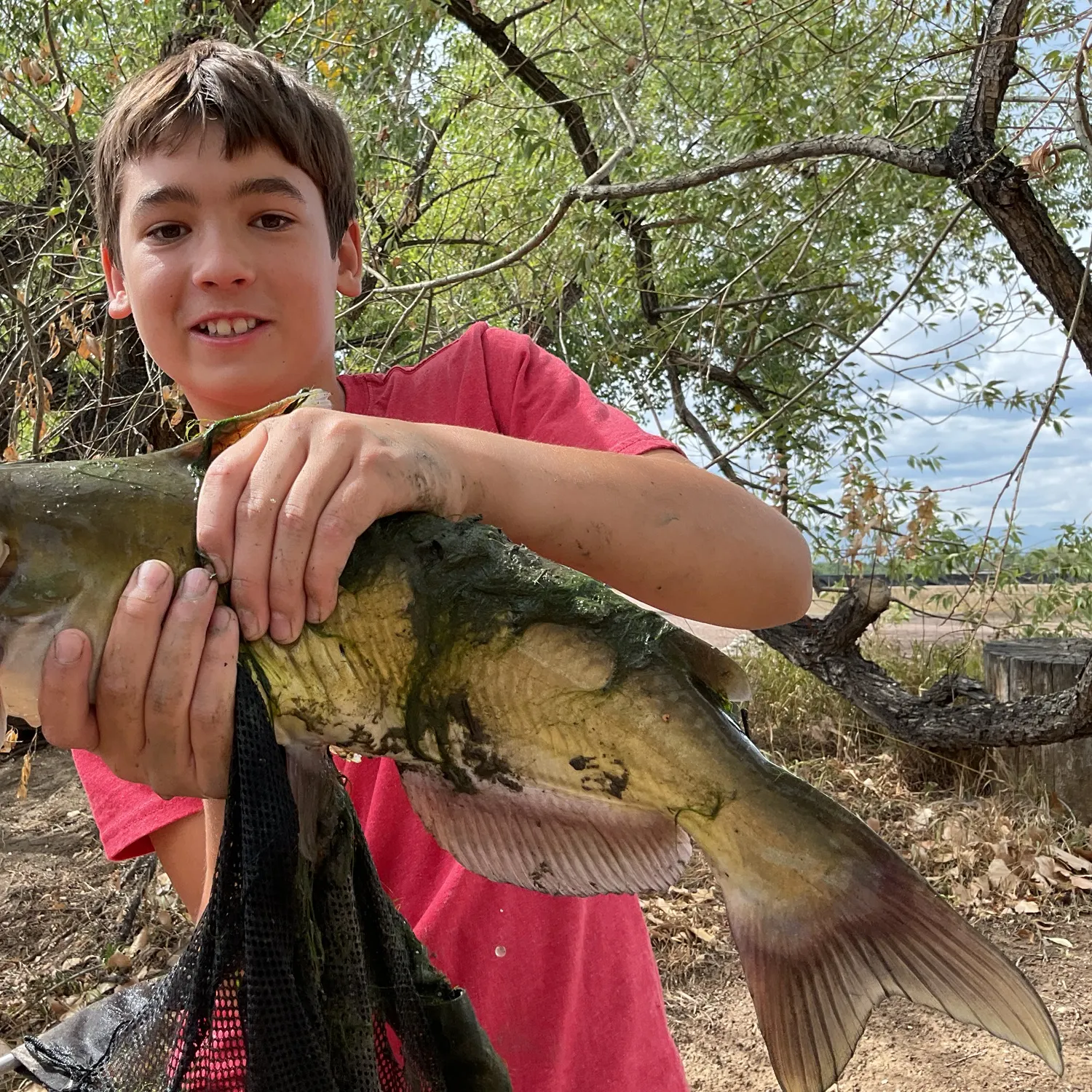 Channel catfish caught on Fishbrain