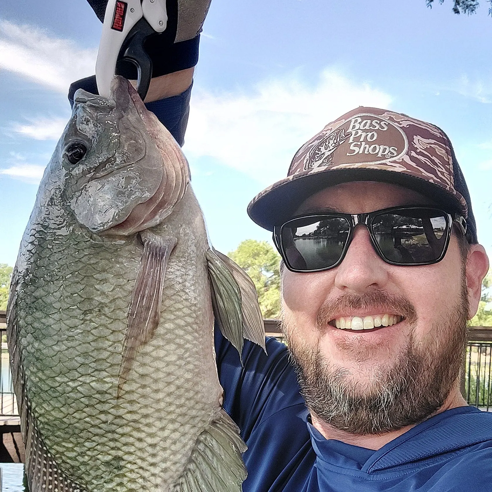Nile tilapia caught on Fishbrain