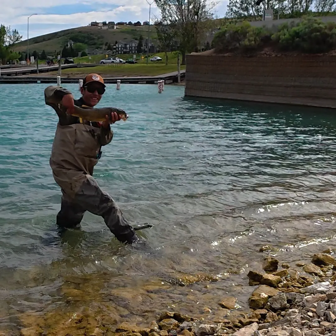 The most recent Utah sucker catches on Fishbrain