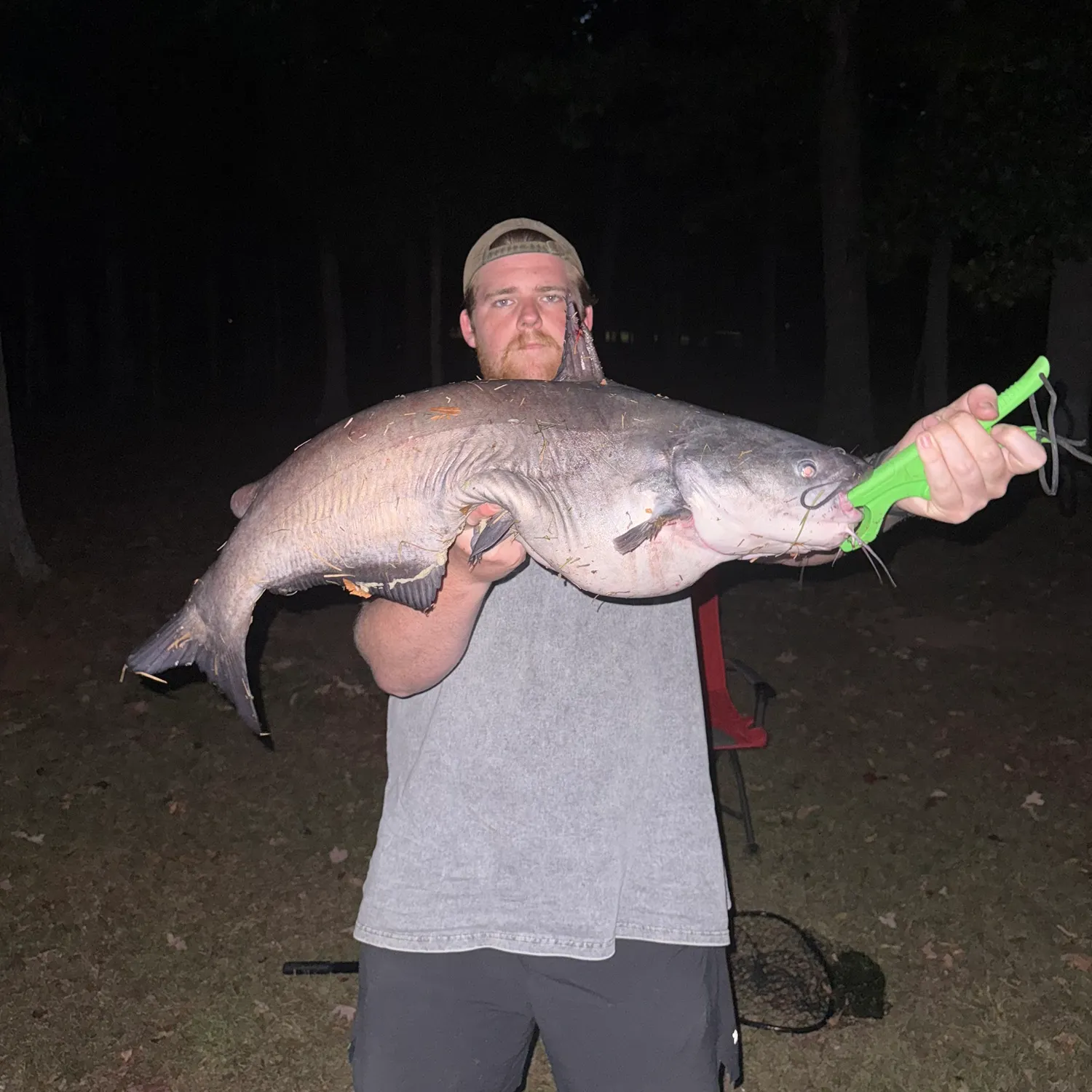 Blue catfish caught on Fishbrain