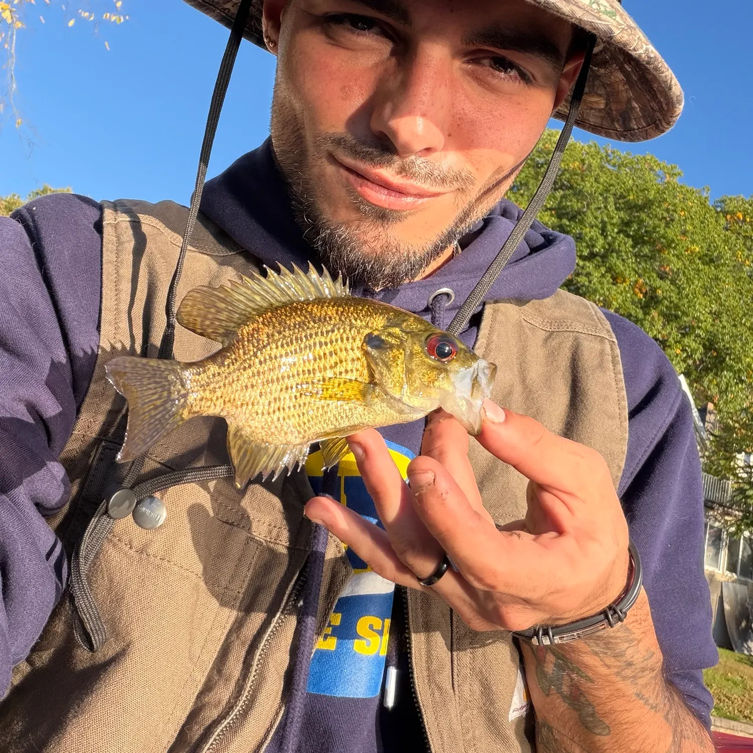 Rock bass caught on Fishbrain