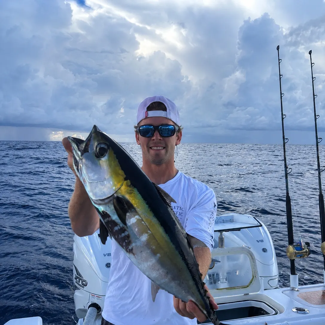 Blackfin tuna caught on Fishbrain