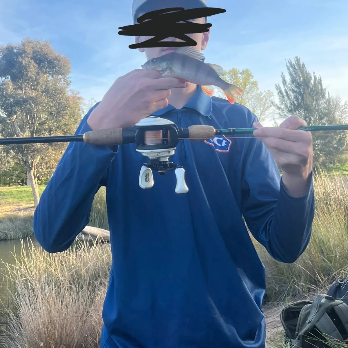 European perch caught on Fishbrain