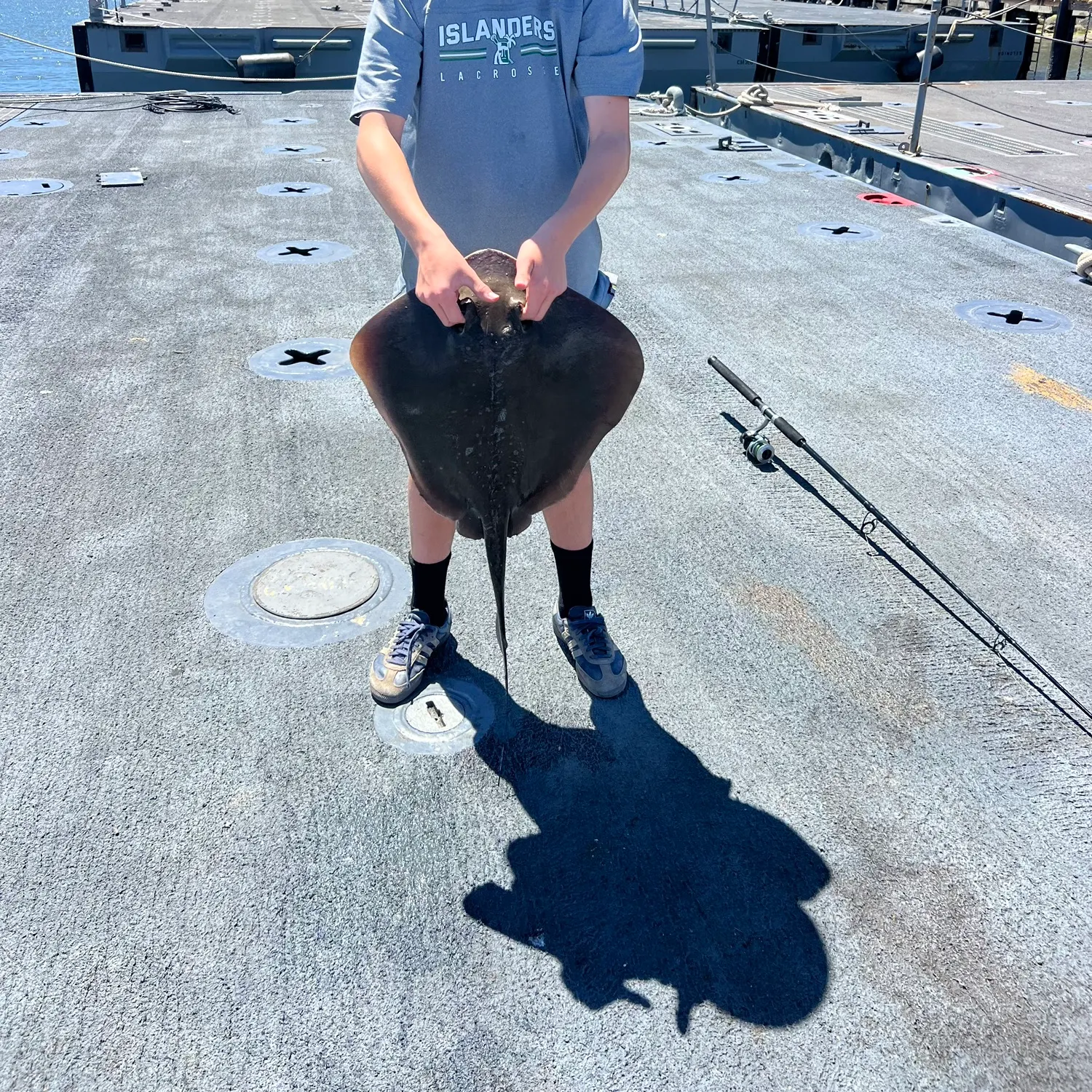 The most recent Diamond stingray catches on Fishbrain