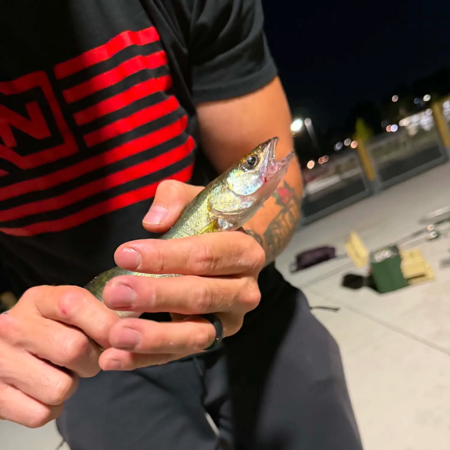 catch