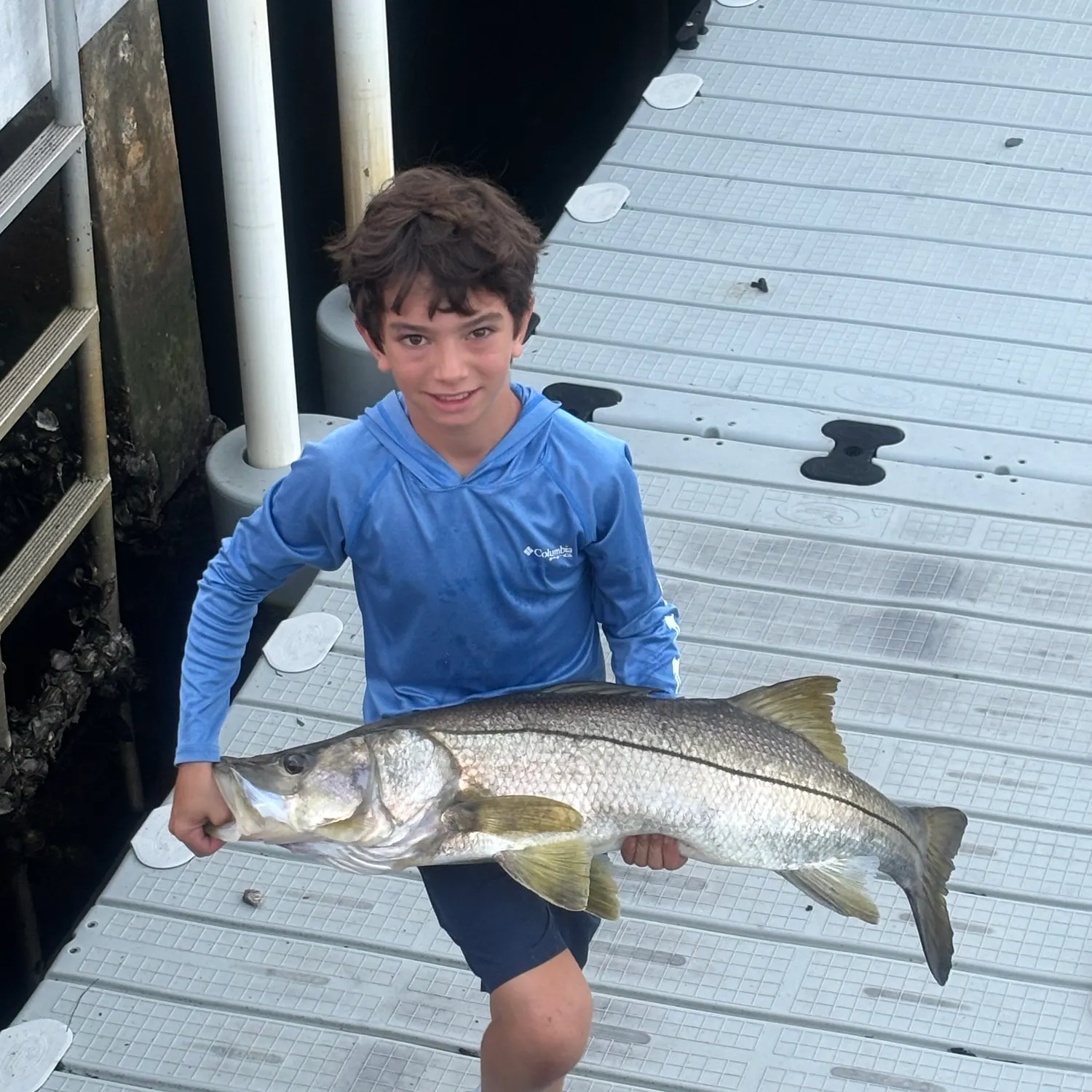 Common snook caught on Fishbrain