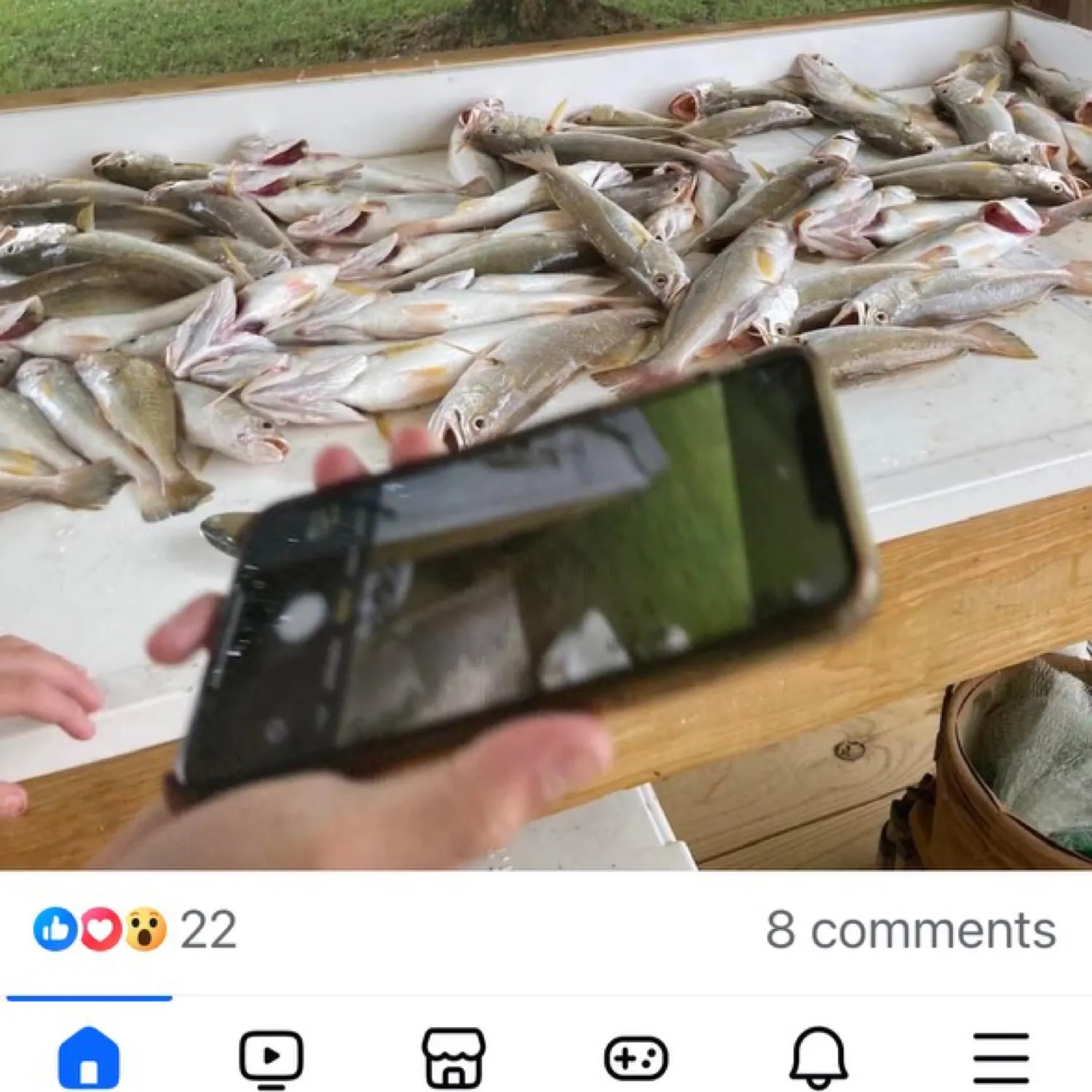 recently logged catches