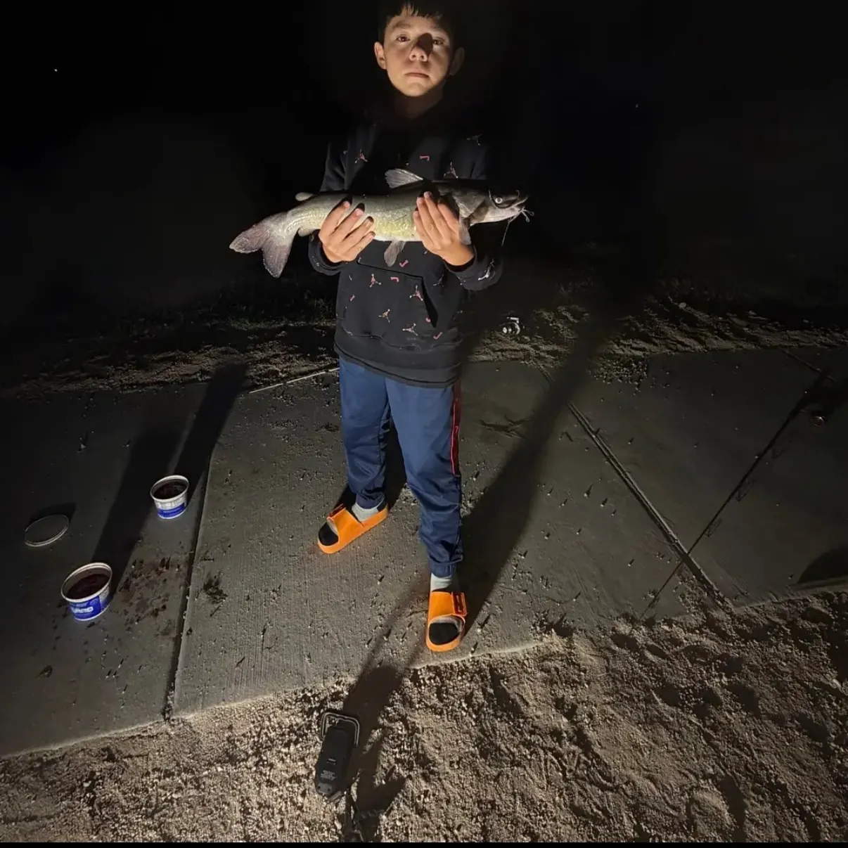 Channel catfish caught on Fishbrain