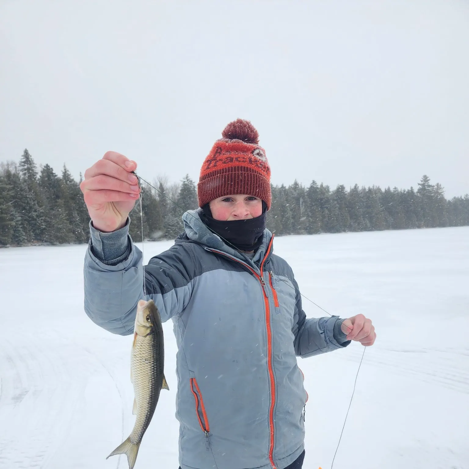 The most recent Fallfish catches on Fishbrain