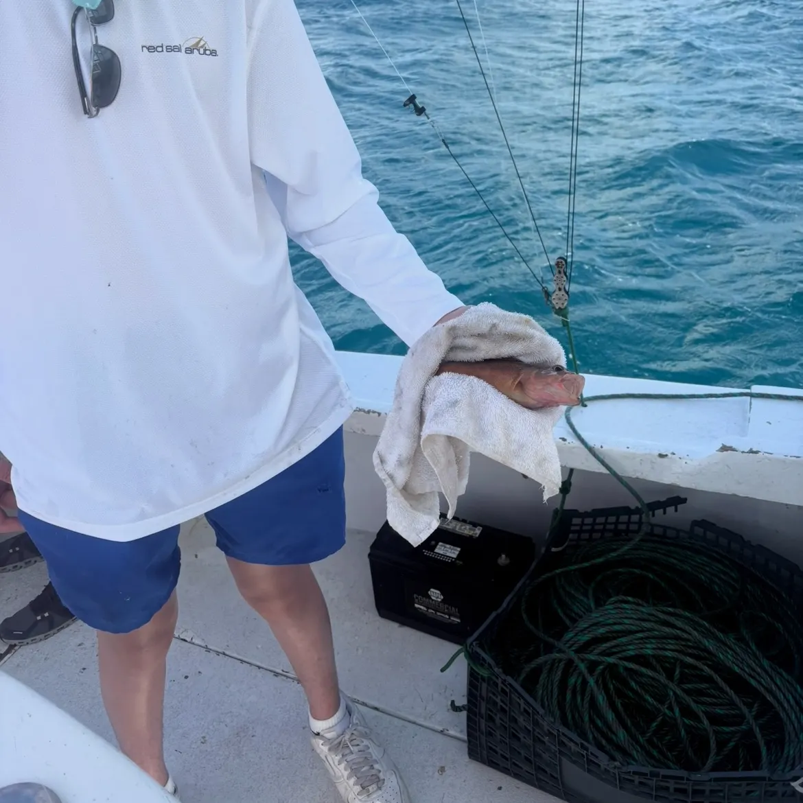 The most recent Spotted coralgrouper catches on Fishbrain