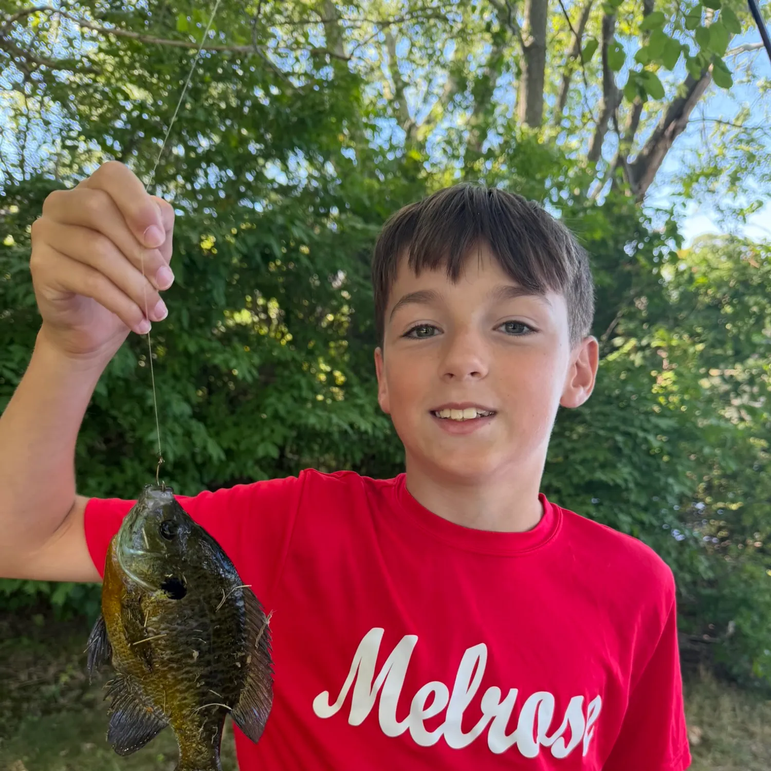 Bluegill caught on Fishbrain