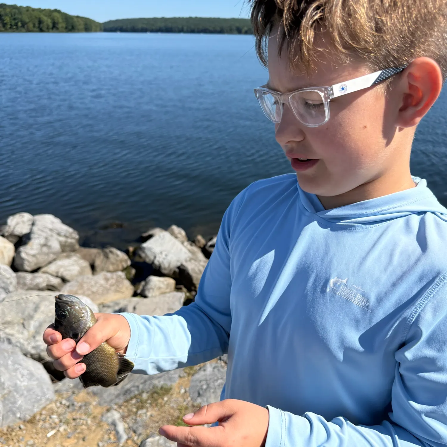 Green sunfish caught on Fishbrain
