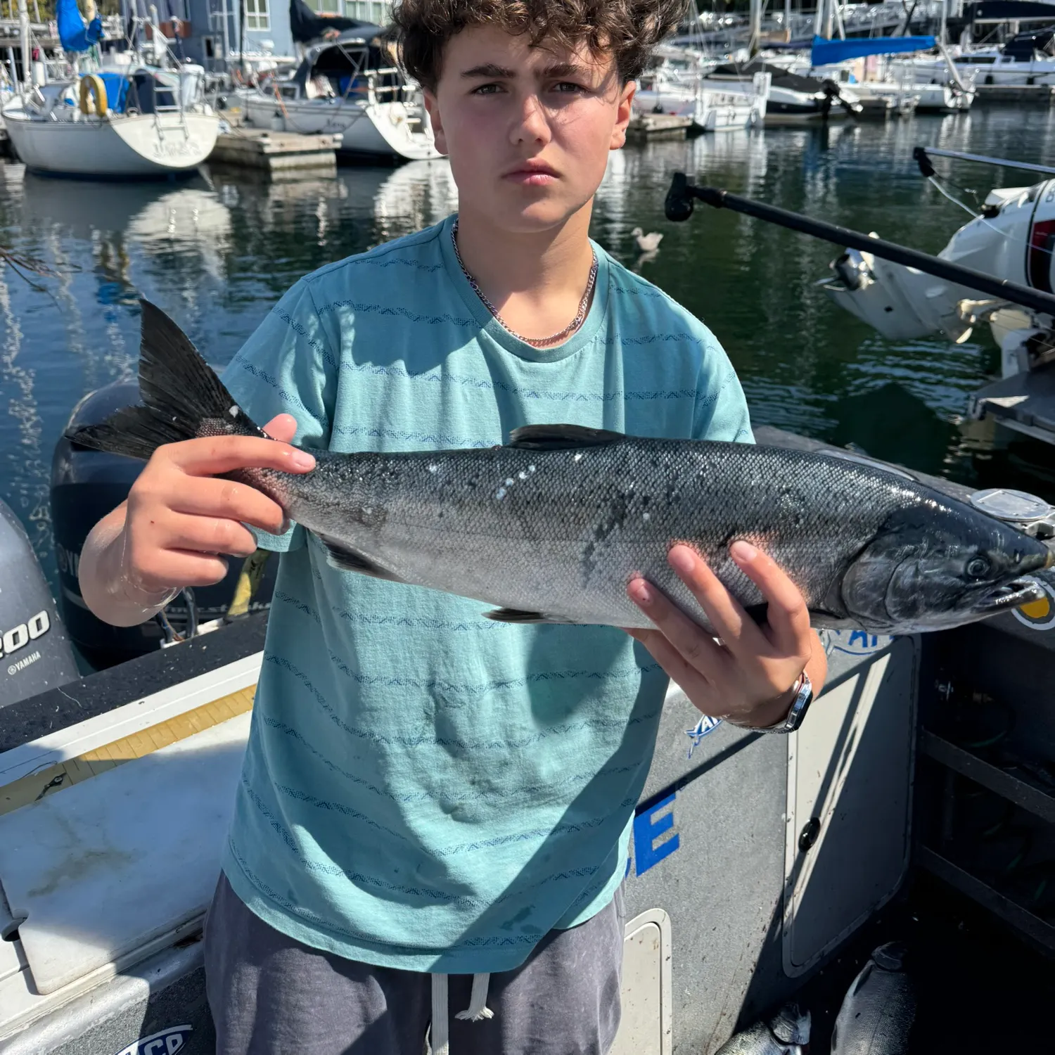 Coho salmon caught on Fishbrain