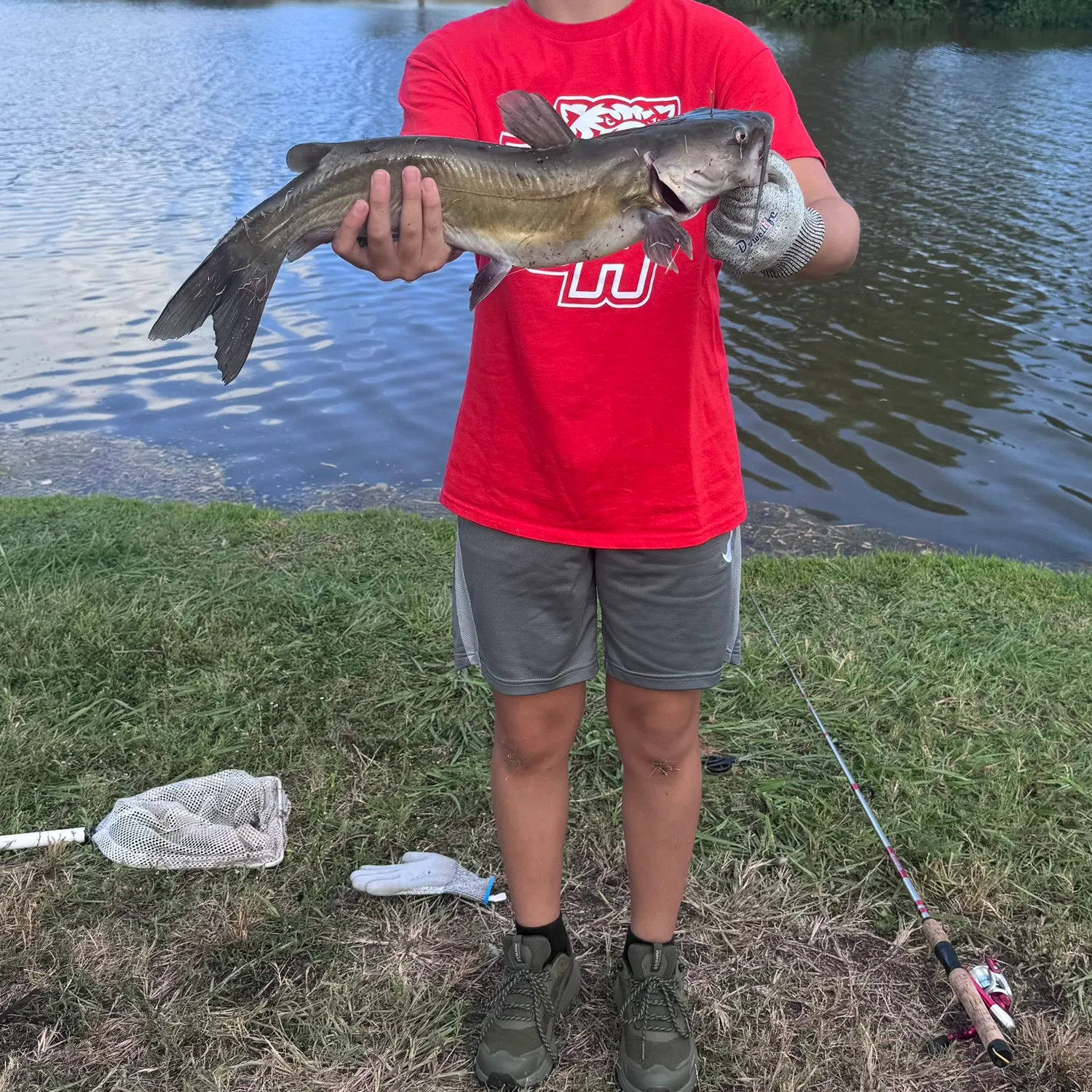 Channel catfish caught on Fishbrain