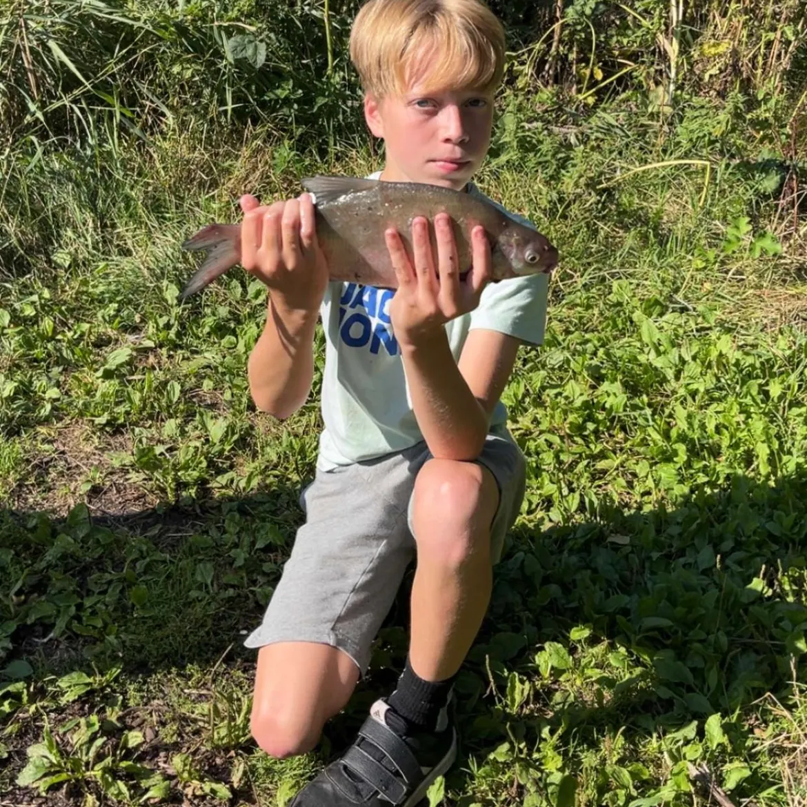 Common bream caught on Fishbrain