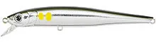 DB Minnow SP