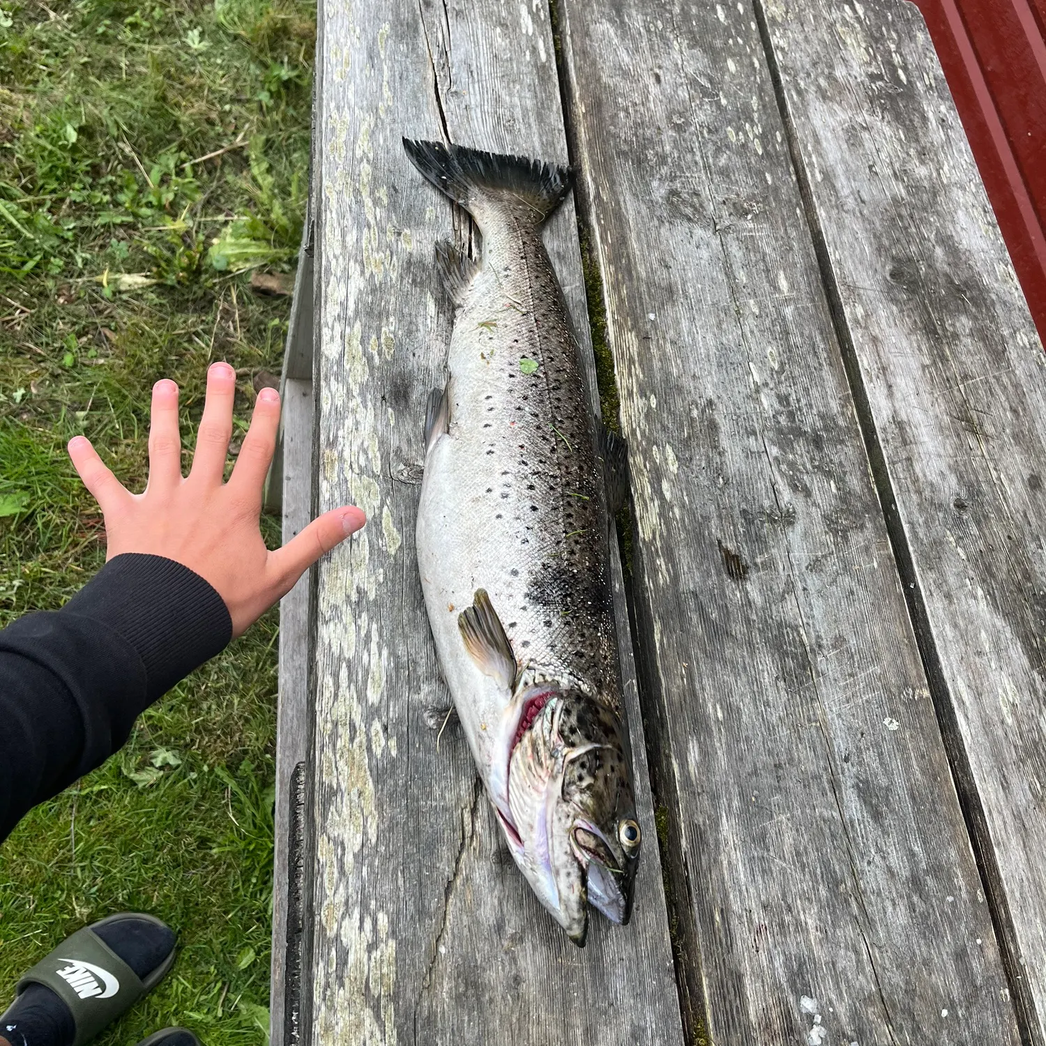 catch